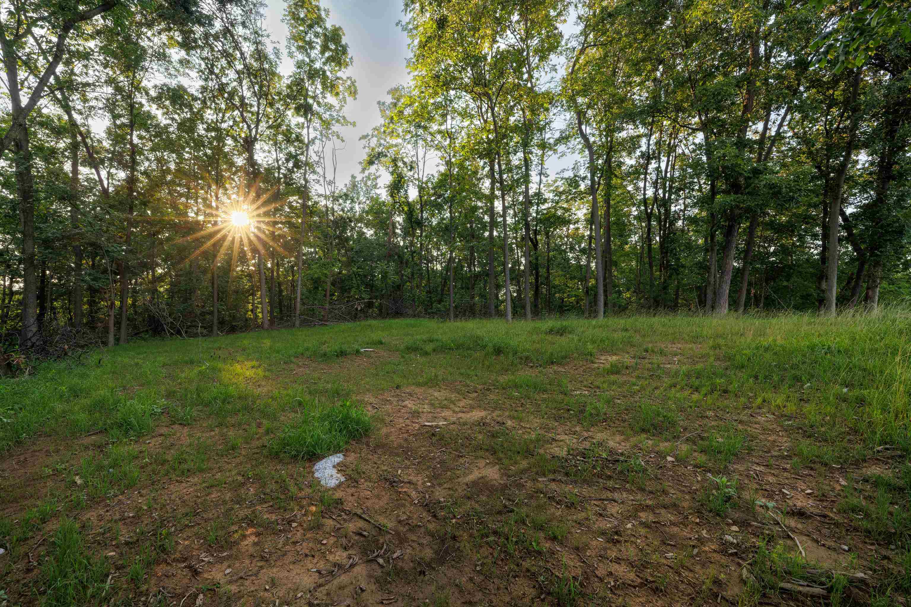 000 STUARTS DRAFT HWY, STUARTS DRAFT, Virginia 24477, ,Land,000 STUARTS DRAFT HWY,671102 MLS # 671102 000 STUARTS DRAFT HWY, STUARTS DRAFT, Virginia 24477, ,Land,000 STUARTS DRAFT HWY,671102 MLS # 671102