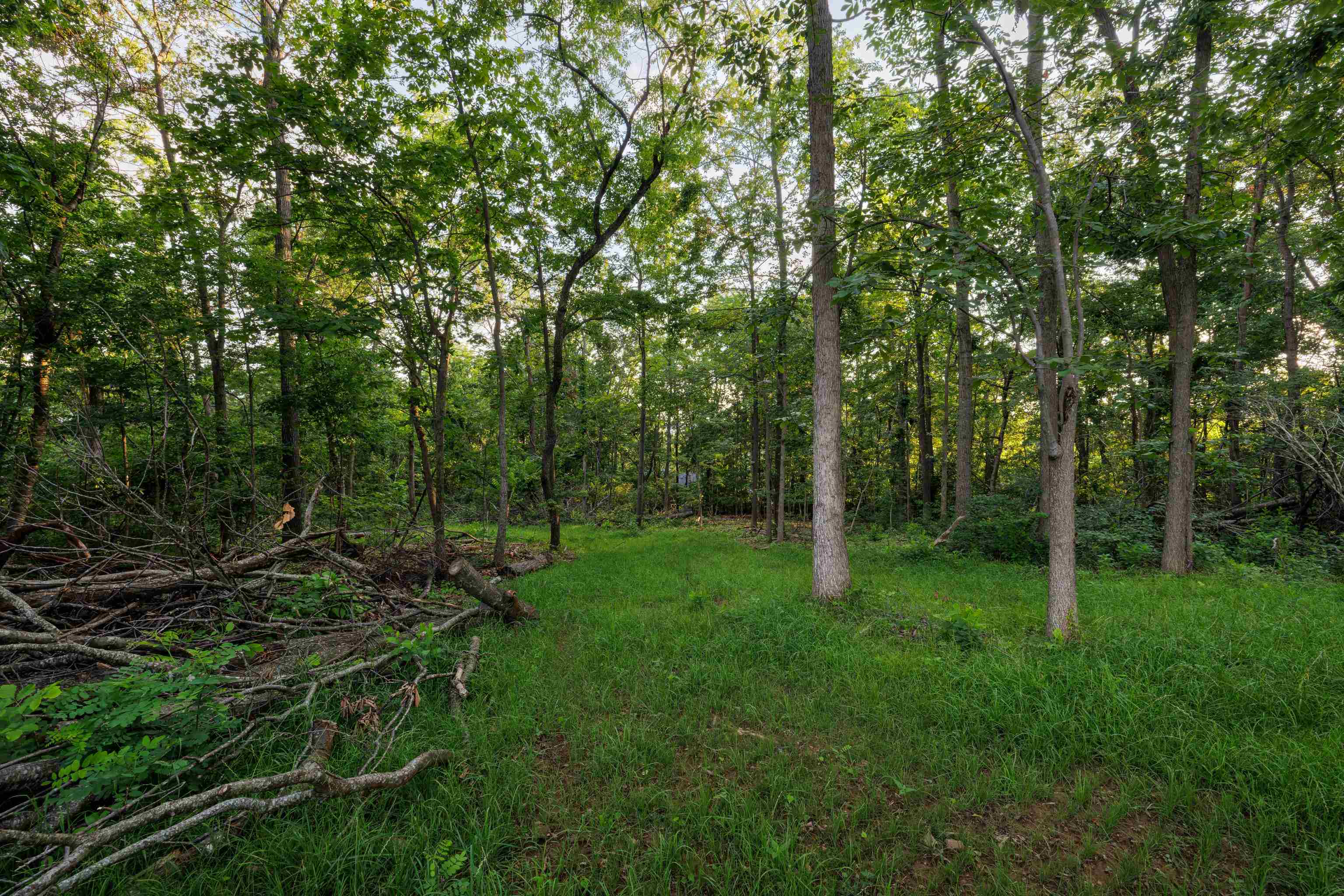 000 STUARTS DRAFT HWY, STUARTS DRAFT, Virginia 24477, ,Land,000 STUARTS DRAFT HWY,671102 MLS # 671102 000 STUARTS DRAFT HWY, STUARTS DRAFT, Virginia 24477, ,Land,000 STUARTS DRAFT HWY,671102 MLS # 671102