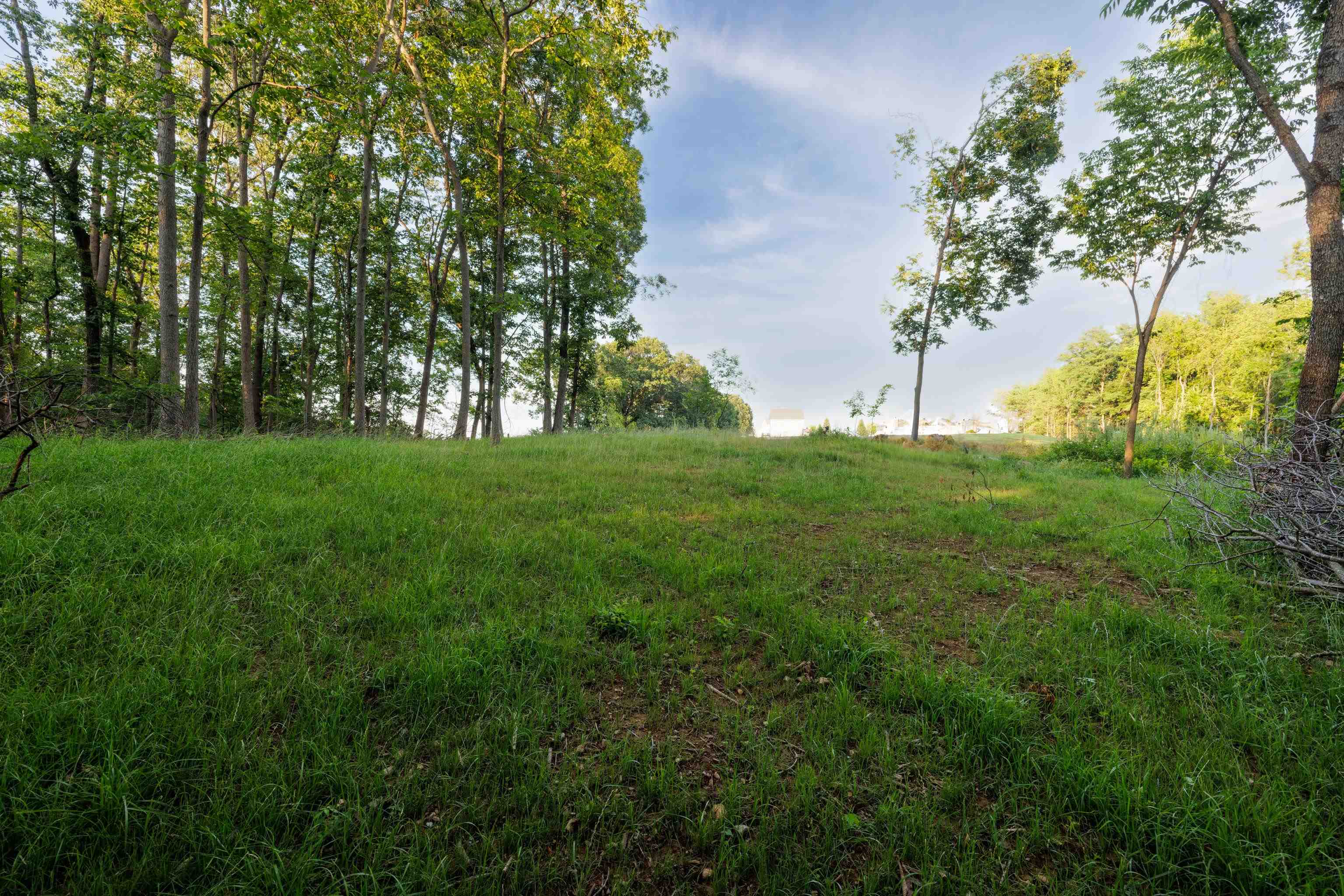 000 STUARTS DRAFT HWY, STUARTS DRAFT, Virginia 24477, ,Land,000 STUARTS DRAFT HWY,671102 MLS # 671102 000 STUARTS DRAFT HWY, STUARTS DRAFT, Virginia 24477, ,Land,000 STUARTS DRAFT HWY,671102 MLS # 671102