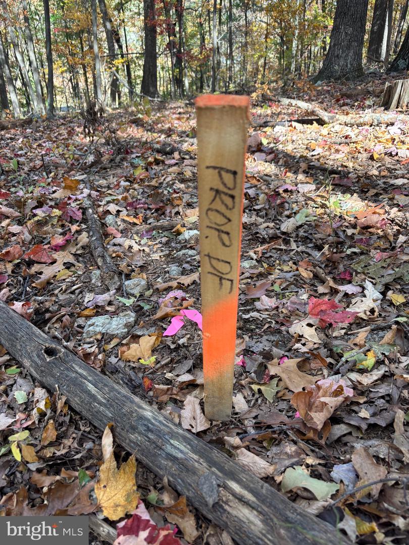 ALONZAVILLE RD., MAURERTOWN, Virginia 22644, ,Land,For sale,ALONZAVILLE RD.,VASH2011990 MLS # VASH2011990 ALONZAVILLE RD., MAURERTOWN, Virginia 22644, ,Land,For sale,ALONZAVILLE RD.,VASH2011990 MLS # VASH2011990