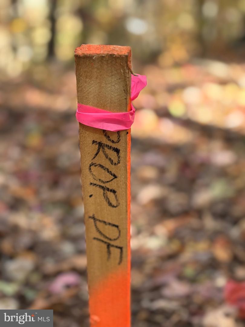 ALONZAVILLE RD., MAURERTOWN, Virginia 22644, ,Land,For sale,ALONZAVILLE RD.,VASH2011990 MLS # VASH2011990 ALONZAVILLE RD., MAURERTOWN, Virginia 22644, ,Land,For sale,ALONZAVILLE RD.,VASH2011990 MLS # VASH2011990