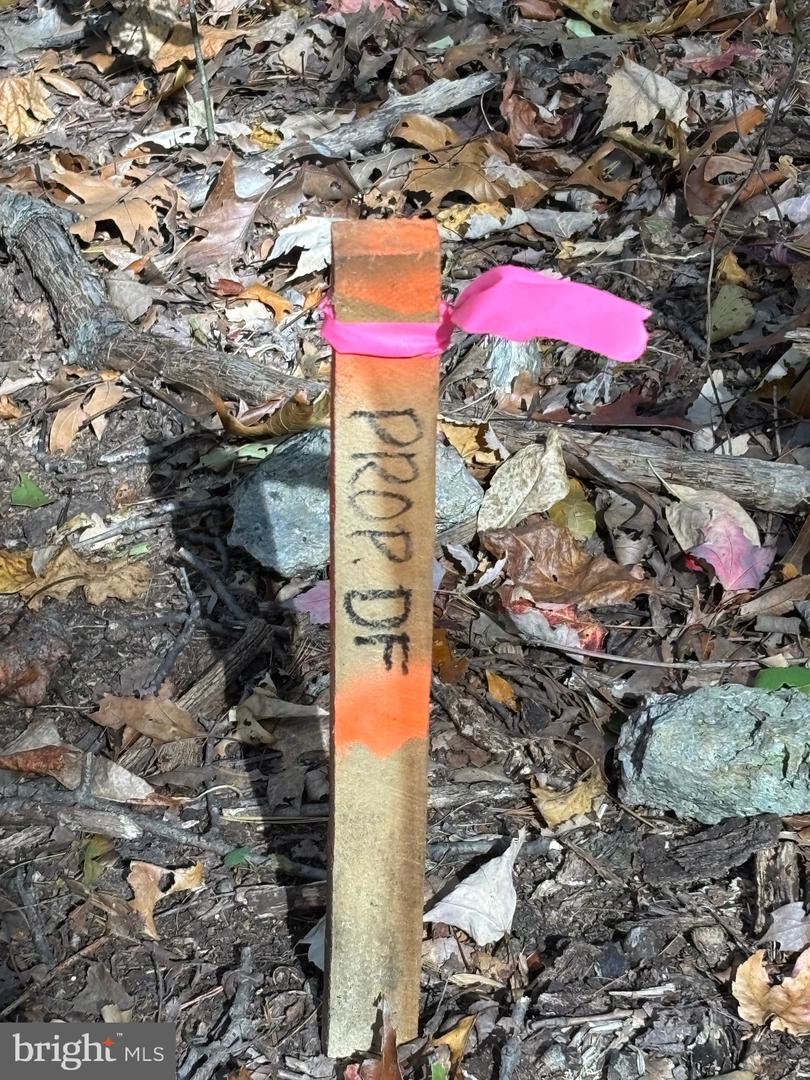 ALONZAVILLE RD., MAURERTOWN, Virginia 22644, ,Land,For sale,ALONZAVILLE RD.,VASH2011990 MLS # VASH2011990 ALONZAVILLE RD., MAURERTOWN, Virginia 22644, ,Land,For sale,ALONZAVILLE RD.,VASH2011990 MLS # VASH2011990