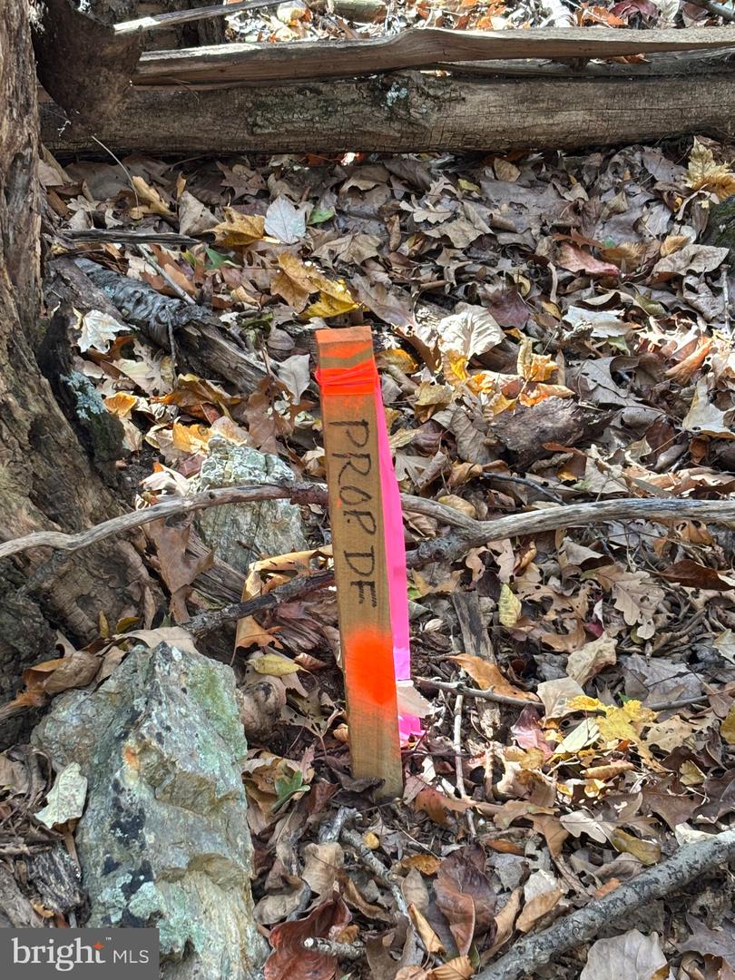 ALONZAVILLE RD., MAURERTOWN, Virginia 22644, ,Land,For sale,ALONZAVILLE RD.,VASH2011990 MLS # VASH2011990 ALONZAVILLE RD., MAURERTOWN, Virginia 22644, ,Land,For sale,ALONZAVILLE RD.,VASH2011990 MLS # VASH2011990