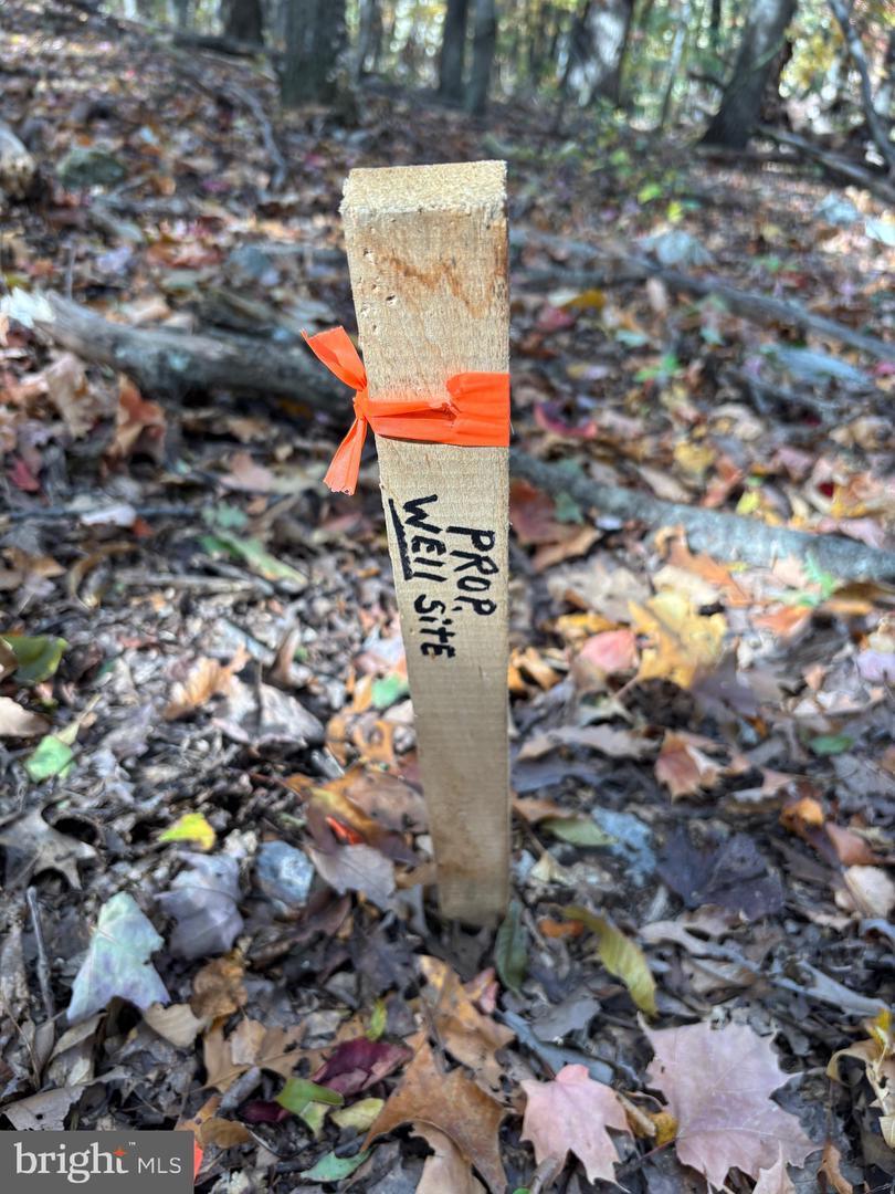 ALONZAVILLE RD., MAURERTOWN, Virginia 22644, ,Land,For sale,ALONZAVILLE RD.,VASH2011990 MLS # VASH2011990 ALONZAVILLE RD., MAURERTOWN, Virginia 22644, ,Land,For sale,ALONZAVILLE RD.,VASH2011990 MLS # VASH2011990