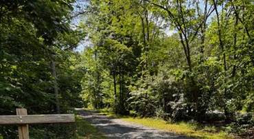 ALONZAVILLE RD., MAURERTOWN, Virginia 22644, ,Land,For sale,ALONZAVILLE RD.,VASH2011990 MLS # VASH2011990