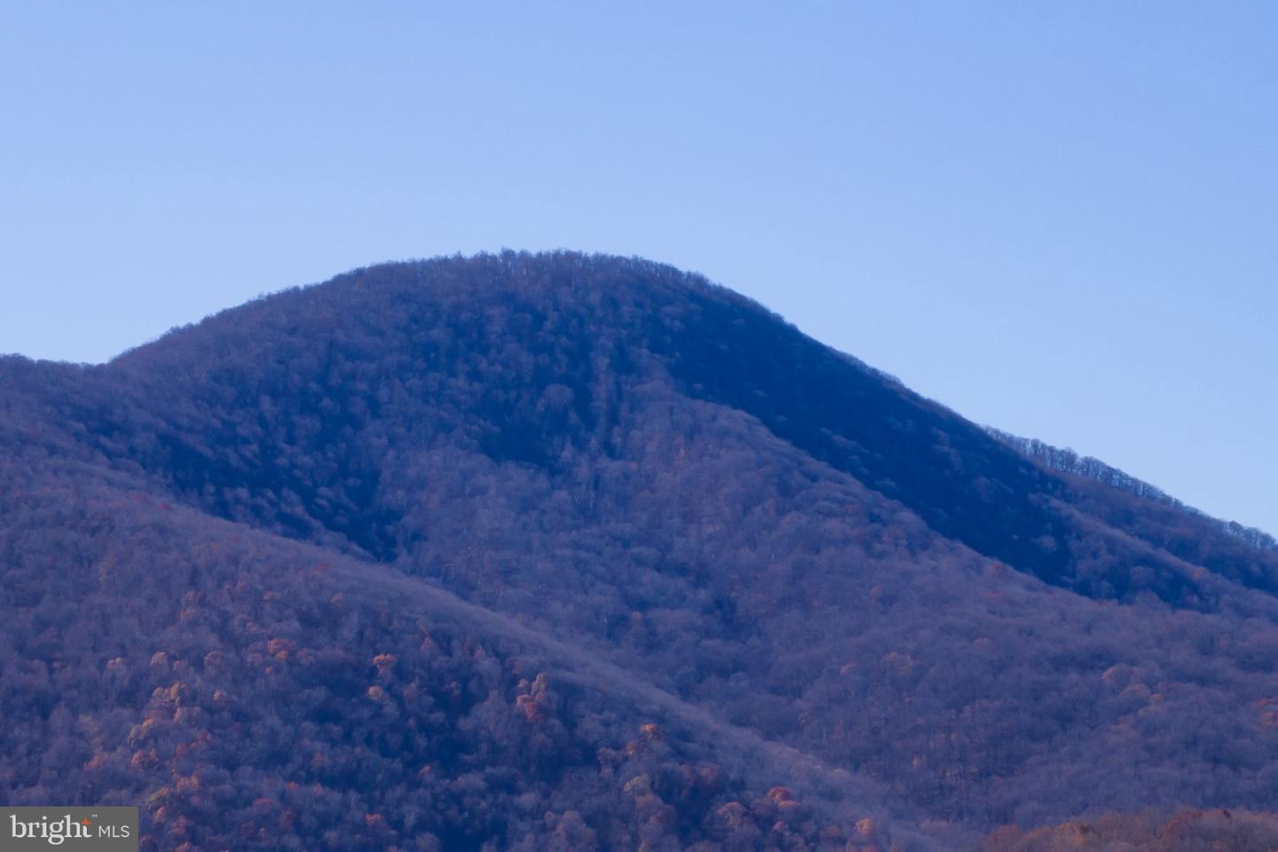 38 BEAR WALLOW RD, HUNTLY, Virginia 22640, ,Land,For sale,38 BEAR WALLOW RD,VARP2002392 MLS # VARP2002392