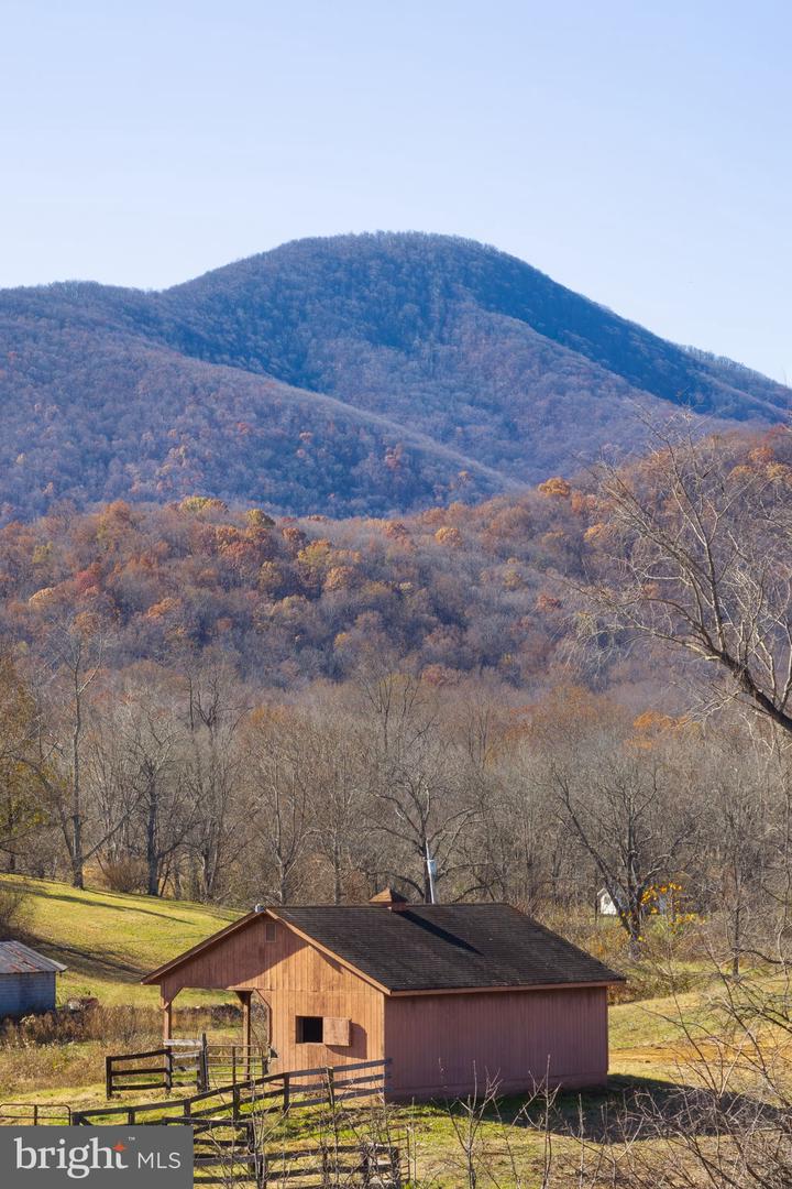 38 BEAR WALLOW RD, HUNTLY, Virginia 22640, ,Land,For sale,38 BEAR WALLOW RD,VARP2002392 MLS # VARP2002392