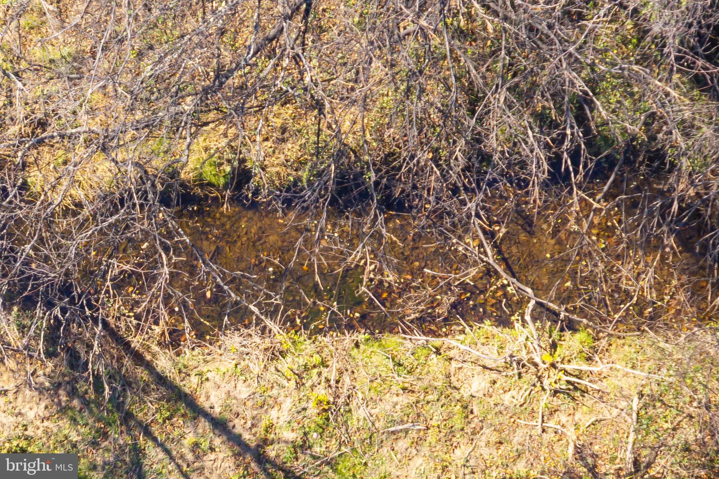 38 BEAR WALLOW RD, HUNTLY, Virginia 22640, ,Land,For sale,38 BEAR WALLOW RD,VARP2002392 MLS # VARP2002392