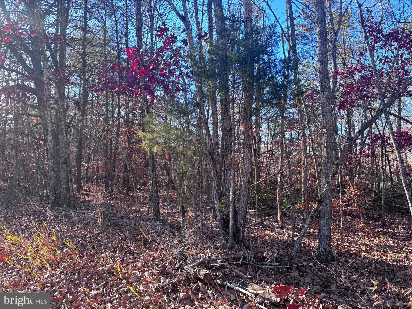 0-LOT A MAIN UNO BAPTIST CHURCH LN, ROCHELLE, Virginia 22738, ,Land,For sale,0-LOT A MAIN UNO BAPTIST CHURCH LN,VAMA2002530 MLS # VAMA2002530