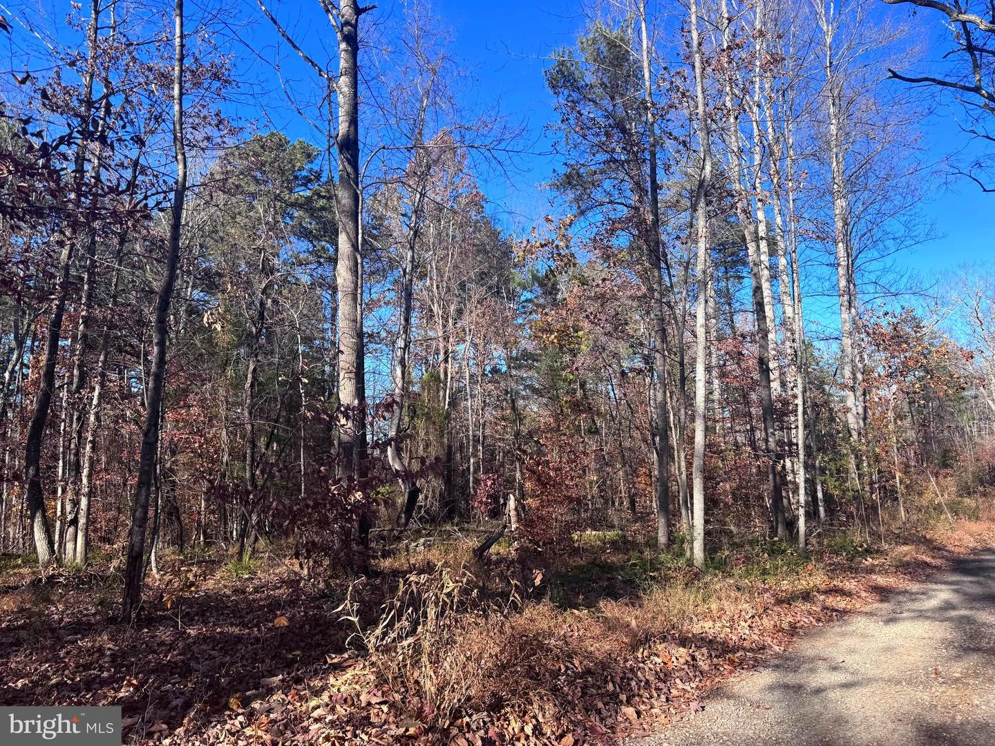 0-LOT A MAIN UNO BAPTIST CHURCH LN, ROCHELLE, Virginia 22738, ,Land,For sale,0-LOT A MAIN UNO BAPTIST CHURCH LN,VAMA2002530 MLS # VAMA2002530