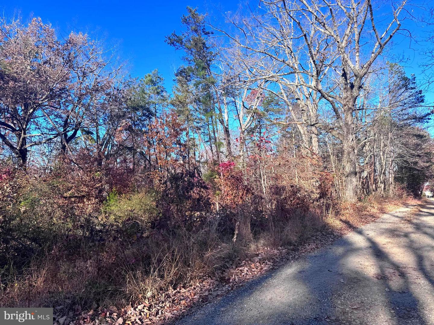 0-LOT A MAIN UNO BAPTIST CHURCH LN, ROCHELLE, Virginia 22738, ,Land,For sale,0-LOT A MAIN UNO BAPTIST CHURCH LN,VAMA2002530 MLS # VAMA2002530