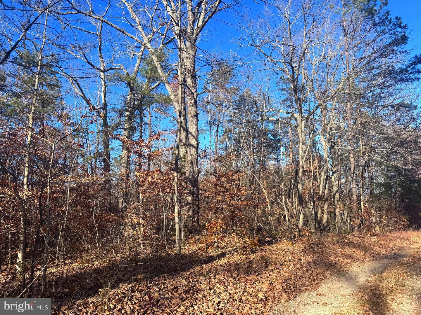 0-LOT A MAIN UNO BAPTIST CHURCH LN, ROCHELLE, Virginia 22738, ,Land,For sale,0-LOT A MAIN UNO BAPTIST CHURCH LN,VAMA2002530 MLS # VAMA2002530