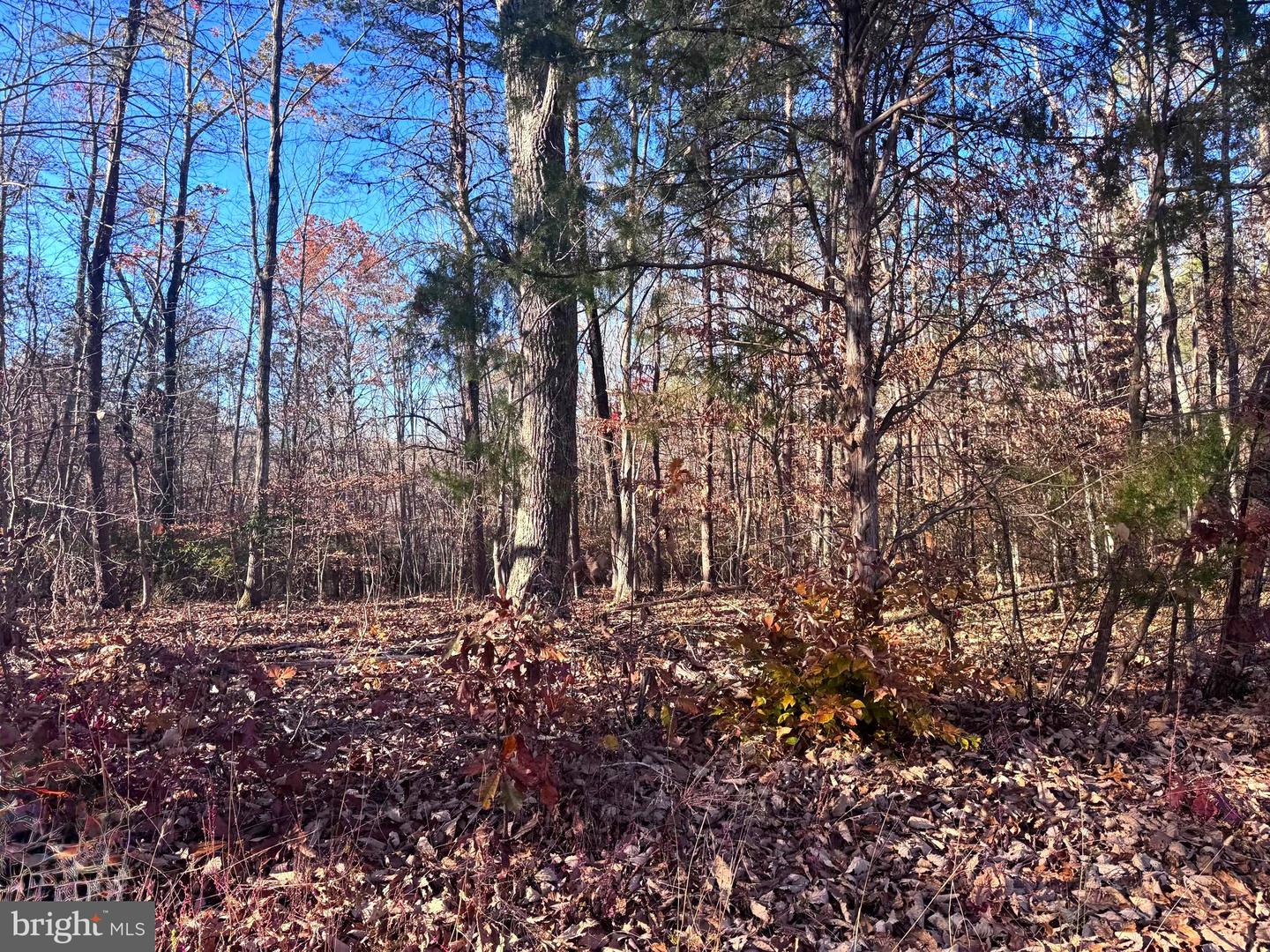 0-LOT A MAIN UNO BAPTIST CHURCH LN, ROCHELLE, Virginia 22738, ,Land,For sale,0-LOT A MAIN UNO BAPTIST CHURCH LN,VAMA2002530 MLS # VAMA2002530