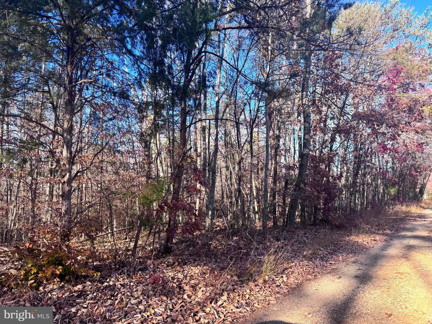 0-LOT A MAIN UNO BAPTIST CHURCH LN, ROCHELLE, Virginia 22738, ,Land,For sale,0-LOT A MAIN UNO BAPTIST CHURCH LN,VAMA2002530 MLS # VAMA2002530