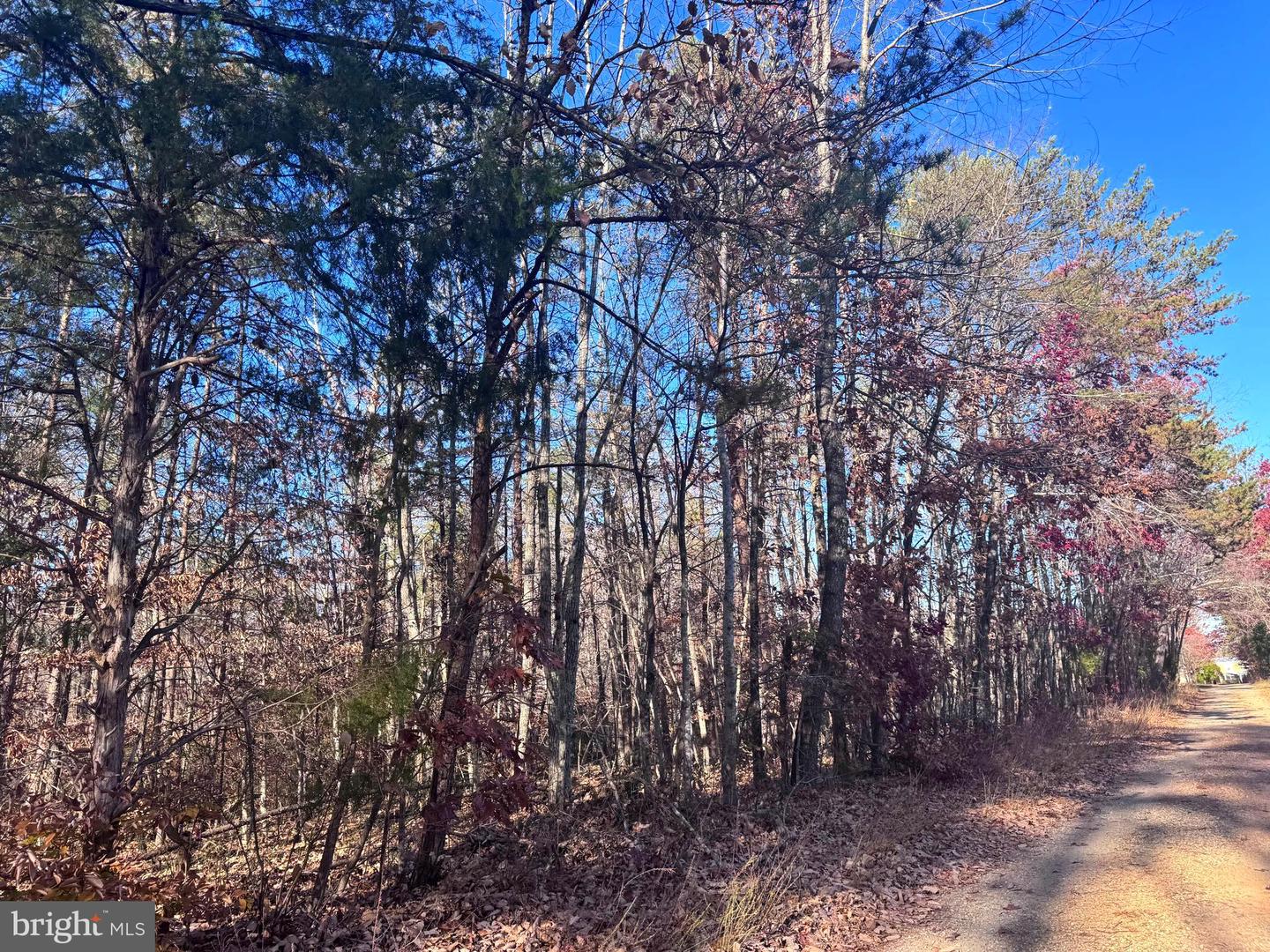 0-LOT A MAIN UNO BAPTIST CHURCH LN, ROCHELLE, Virginia 22738, ,Land,For sale,0-LOT A MAIN UNO BAPTIST CHURCH LN,VAMA2002530 MLS # VAMA2002530