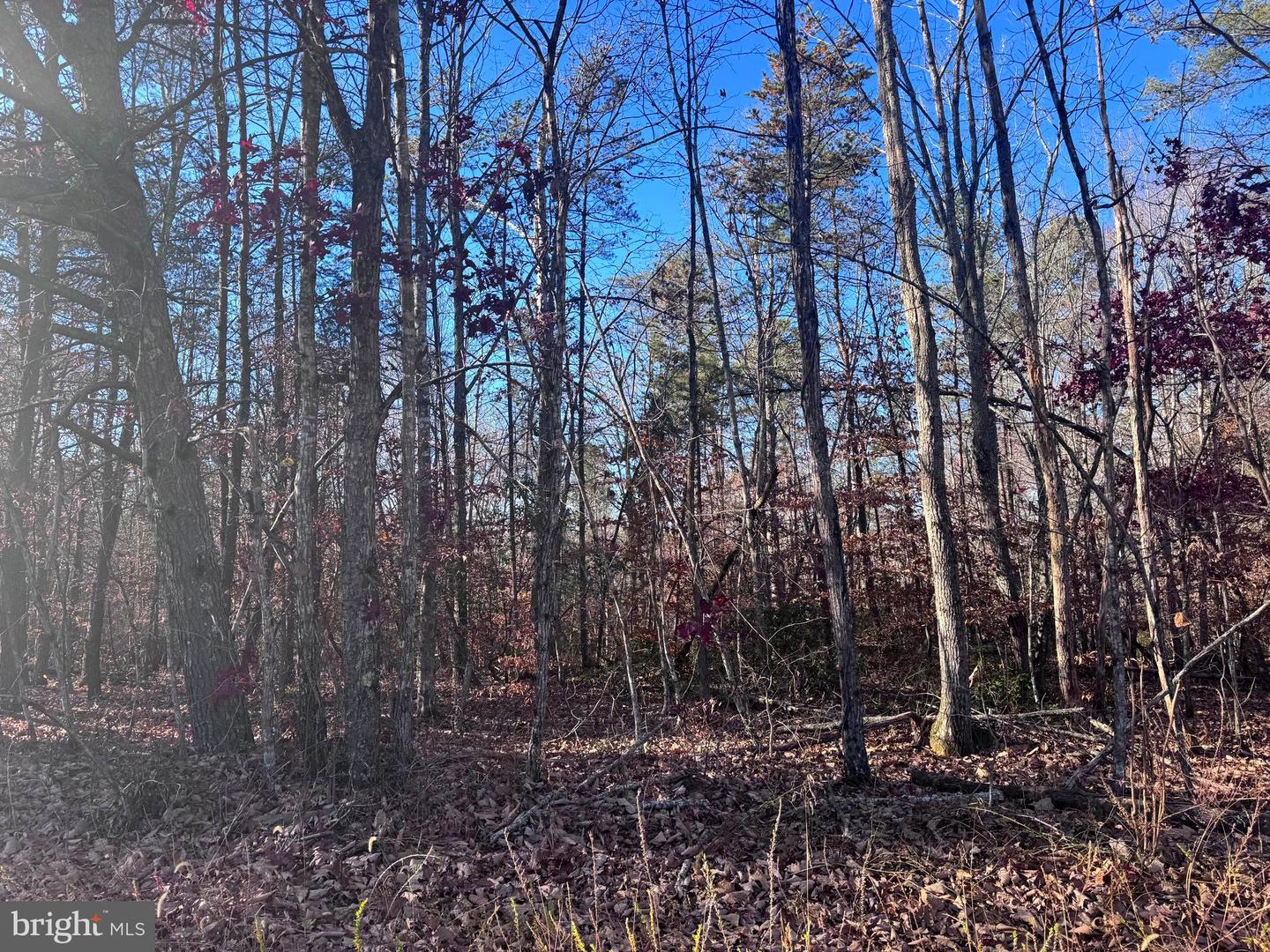 0-LOT A MAIN UNO BAPTIST CHURCH LN, ROCHELLE, Virginia 22738, ,Land,For sale,0-LOT A MAIN UNO BAPTIST CHURCH LN,VAMA2002530 MLS # VAMA2002530