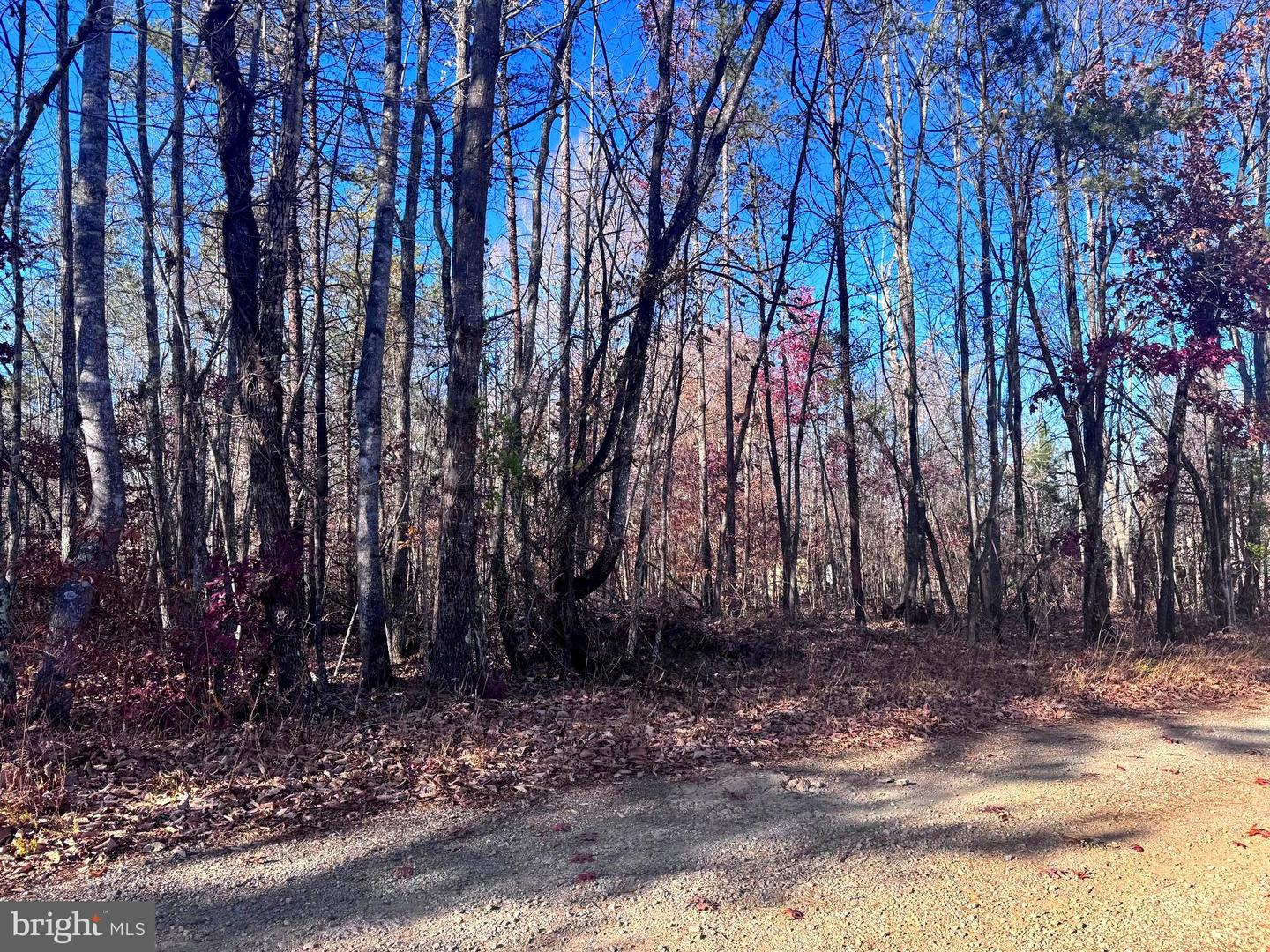 0-LOT A MAIN UNO BAPTIST CHURCH LN, ROCHELLE, Virginia 22738, ,Land,For sale,0-LOT A MAIN UNO BAPTIST CHURCH LN,VAMA2002530 MLS # VAMA2002530