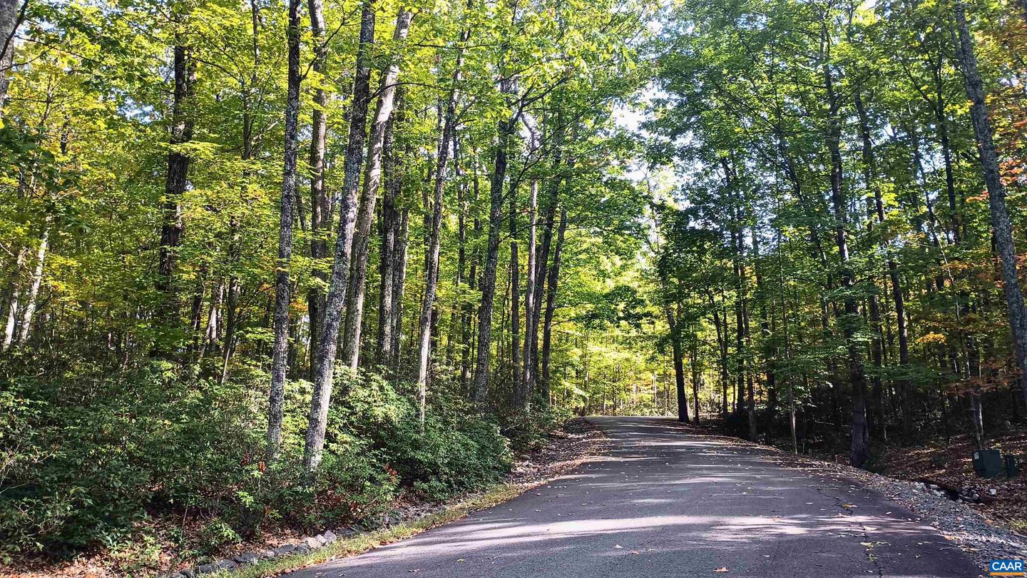 0 OAKCREST LN #3, NELLYSFORD, Virginia 22958, ,Land,For sale,0 OAKCREST LN #3,671080 MLS # 671080 0 OAKCREST LN #3, NELLYSFORD, Virginia 22958, ,Land,For sale,0 OAKCREST LN #3,671080 MLS # 671080