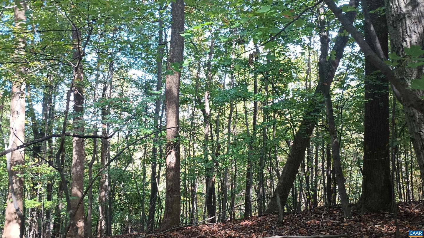 0 OAKCREST LN #3, NELLYSFORD, Virginia 22958, ,Land,For sale,0 OAKCREST LN #3,671080 MLS # 671080 0 OAKCREST LN #3, NELLYSFORD, Virginia 22958, ,Land,For sale,0 OAKCREST LN #3,671080 MLS # 671080