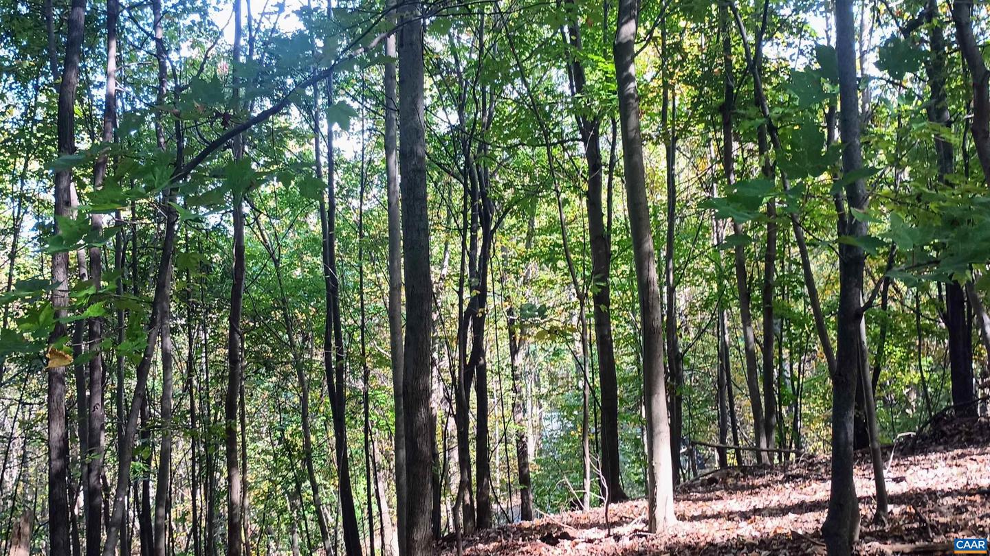 0 OAKCREST LN #3, NELLYSFORD, Virginia 22958, ,Land,For sale,0 OAKCREST LN #3,671080 MLS # 671080 0 OAKCREST LN #3, NELLYSFORD, Virginia 22958, ,Land,For sale,0 OAKCREST LN #3,671080 MLS # 671080