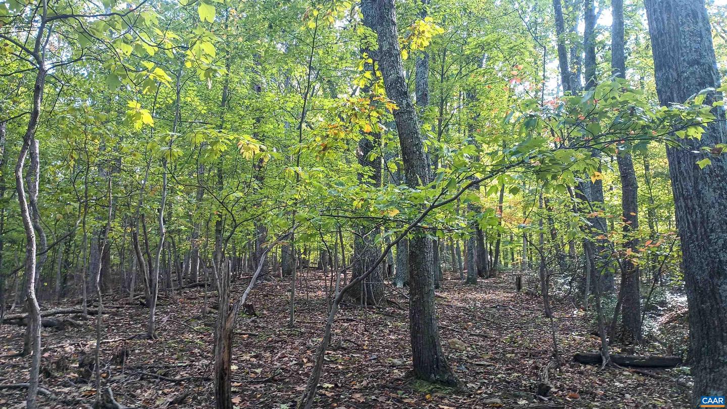 0 OAKCREST LN #3, NELLYSFORD, Virginia 22958, ,Land,For sale,0 OAKCREST LN #3,671080 MLS # 671080 0 OAKCREST LN #3, NELLYSFORD, Virginia 22958, ,Land,For sale,0 OAKCREST LN #3,671080 MLS # 671080