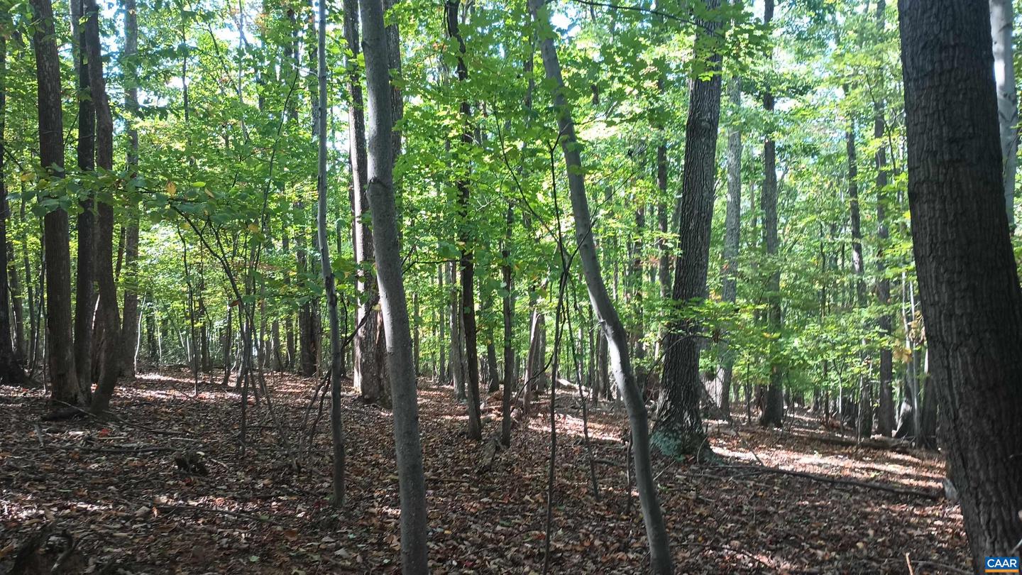 0 OAKCREST LN #3, NELLYSFORD, Virginia 22958, ,Land,For sale,0 OAKCREST LN #3,671080 MLS # 671080 0 OAKCREST LN #3, NELLYSFORD, Virginia 22958, ,Land,For sale,0 OAKCREST LN #3,671080 MLS # 671080