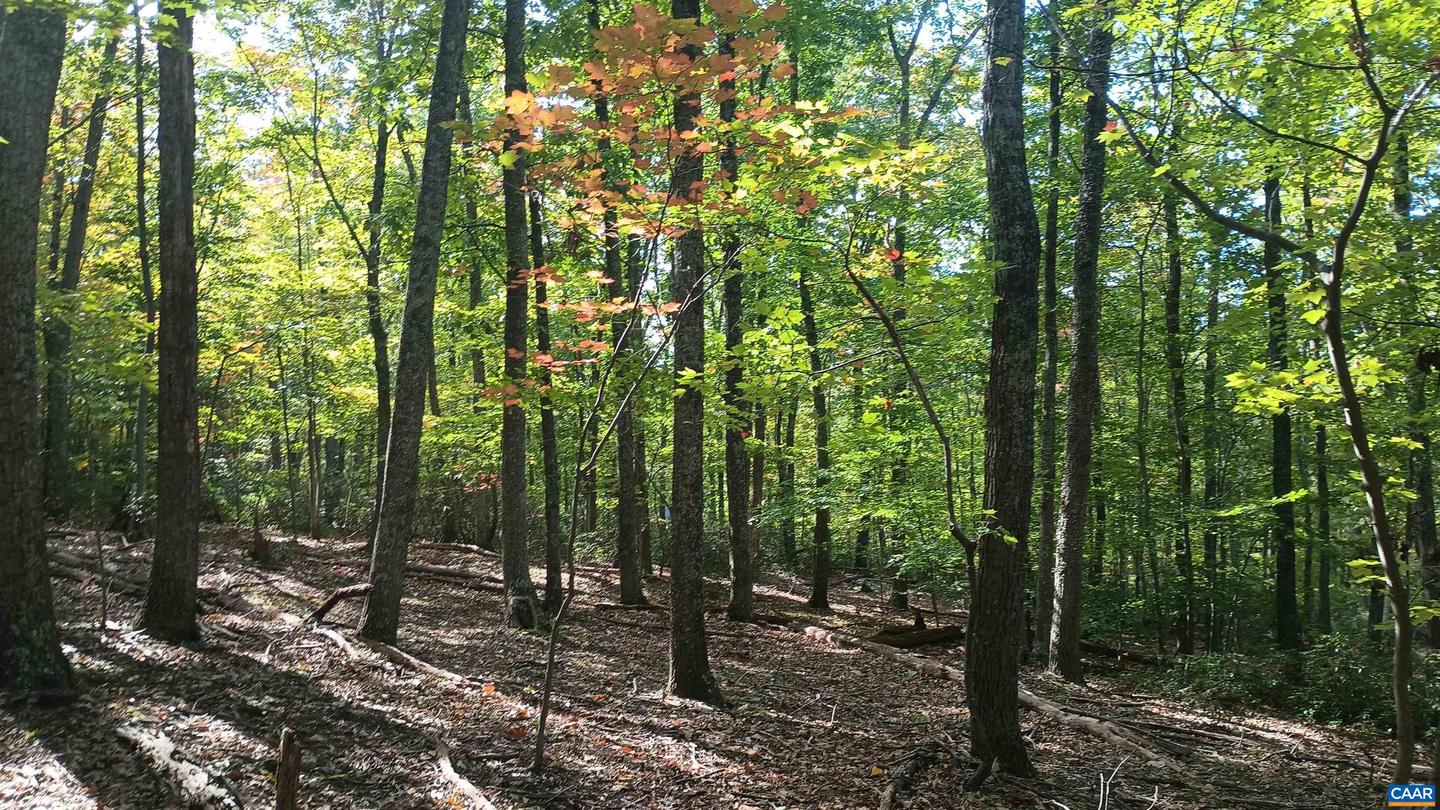 0 OAKCREST LN #3, NELLYSFORD, Virginia 22958, ,Land,For sale,0 OAKCREST LN #3,671080 MLS # 671080 0 OAKCREST LN #3, NELLYSFORD, Virginia 22958, ,Land,For sale,0 OAKCREST LN #3,671080 MLS # 671080