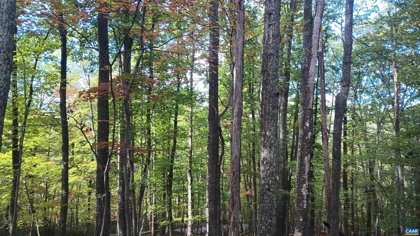 0 OAKCREST LN #3, NELLYSFORD, Virginia 22958, ,Land,For sale,0 OAKCREST LN #3,671080 MLS # 671080 0 OAKCREST LN #3, NELLYSFORD, Virginia 22958, ,Land,For sale,0 OAKCREST LN #3,671080 MLS # 671080