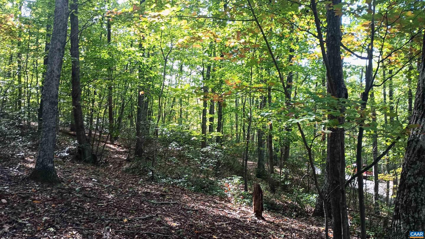 0 OAKCREST LN #3, NELLYSFORD, Virginia 22958, ,Land,For sale,0 OAKCREST LN #3,671080 MLS # 671080 0 OAKCREST LN #3, NELLYSFORD, Virginia 22958, ,Land,For sale,0 OAKCREST LN #3,671080 MLS # 671080