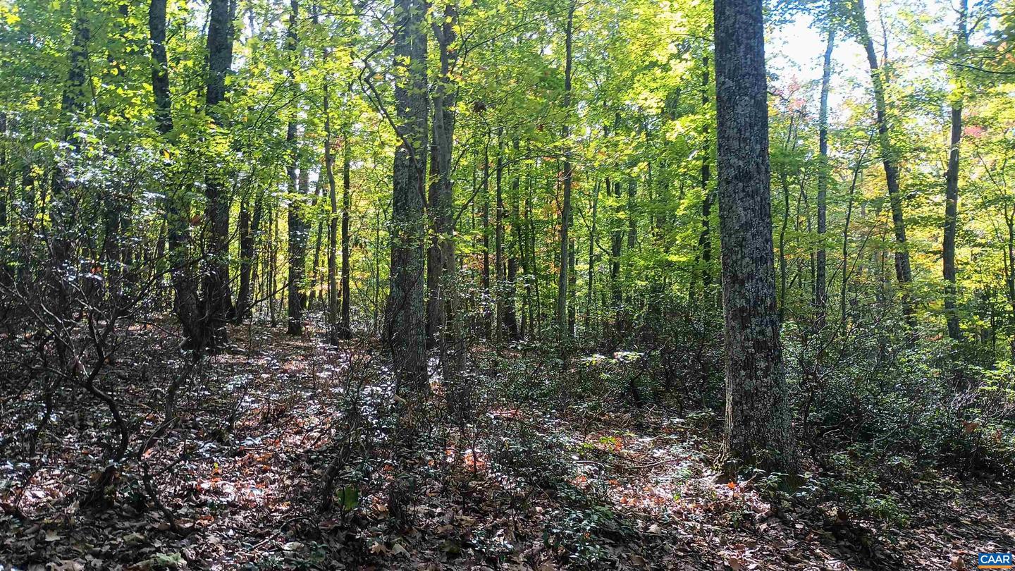 0 OAKCREST LN #3, NELLYSFORD, Virginia 22958, ,Land,For sale,0 OAKCREST LN #3,671080 MLS # 671080 0 OAKCREST LN #3, NELLYSFORD, Virginia 22958, ,Land,For sale,0 OAKCREST LN #3,671080 MLS # 671080