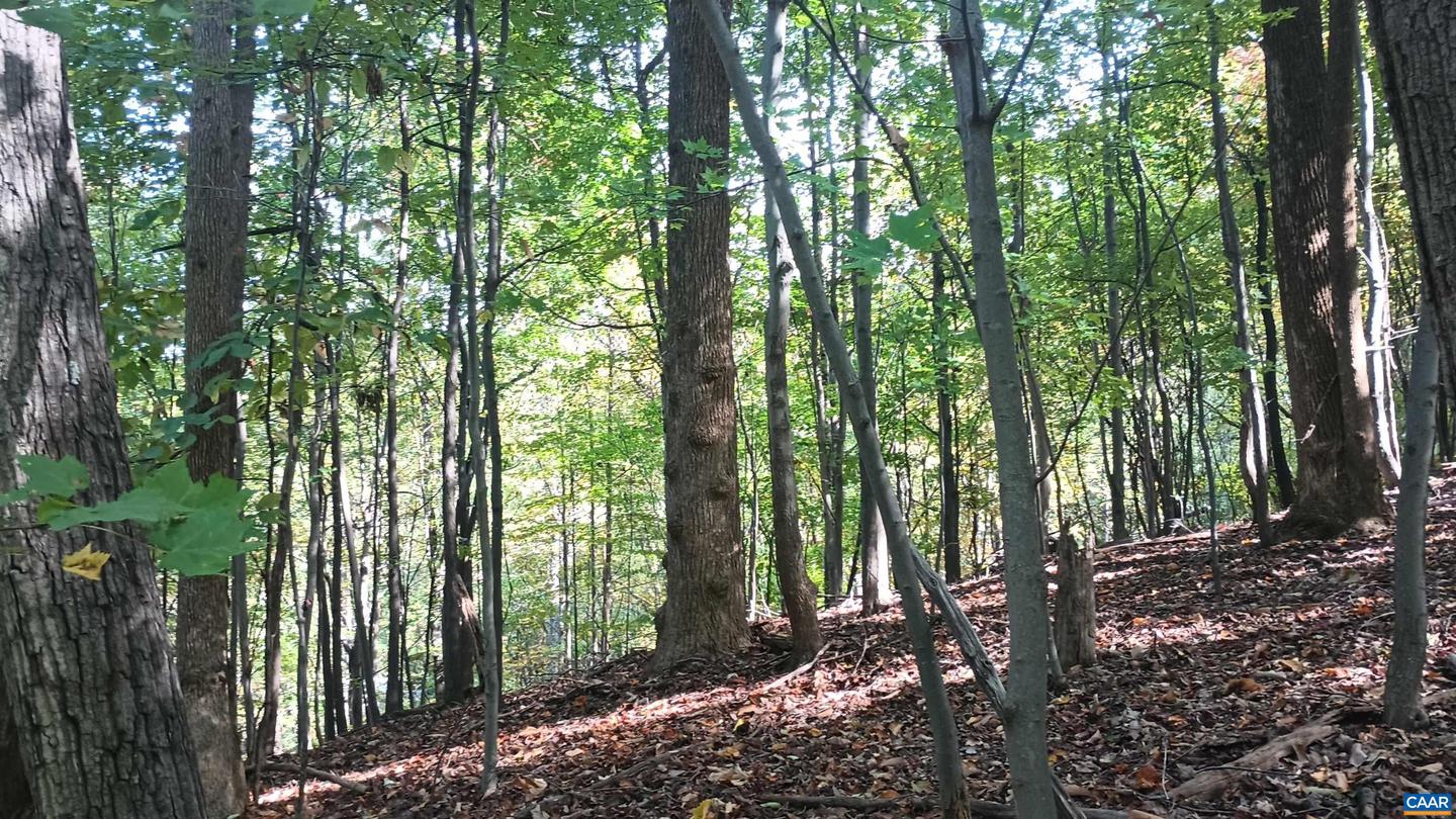 0 OAKCREST LN #3, NELLYSFORD, Virginia 22958, ,Land,For sale,0 OAKCREST LN #3,671080 MLS # 671080 0 OAKCREST LN #3, NELLYSFORD, Virginia 22958, ,Land,For sale,0 OAKCREST LN #3,671080 MLS # 671080