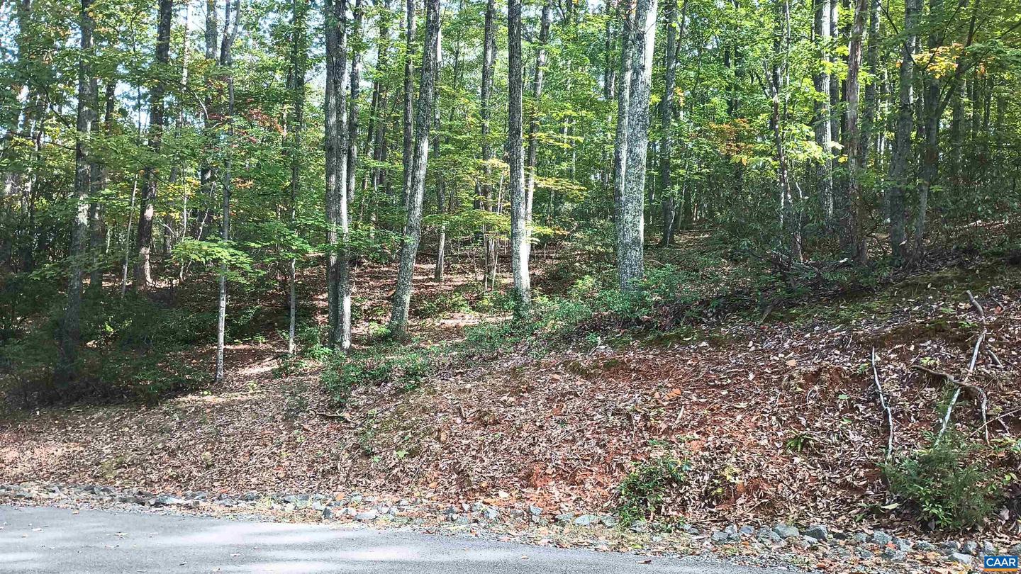 0 OAKCREST LN #3, NELLYSFORD, Virginia 22958, ,Land,For sale,0 OAKCREST LN #3,671080 MLS # 671080 0 OAKCREST LN #3, NELLYSFORD, Virginia 22958, ,Land,For sale,0 OAKCREST LN #3,671080 MLS # 671080