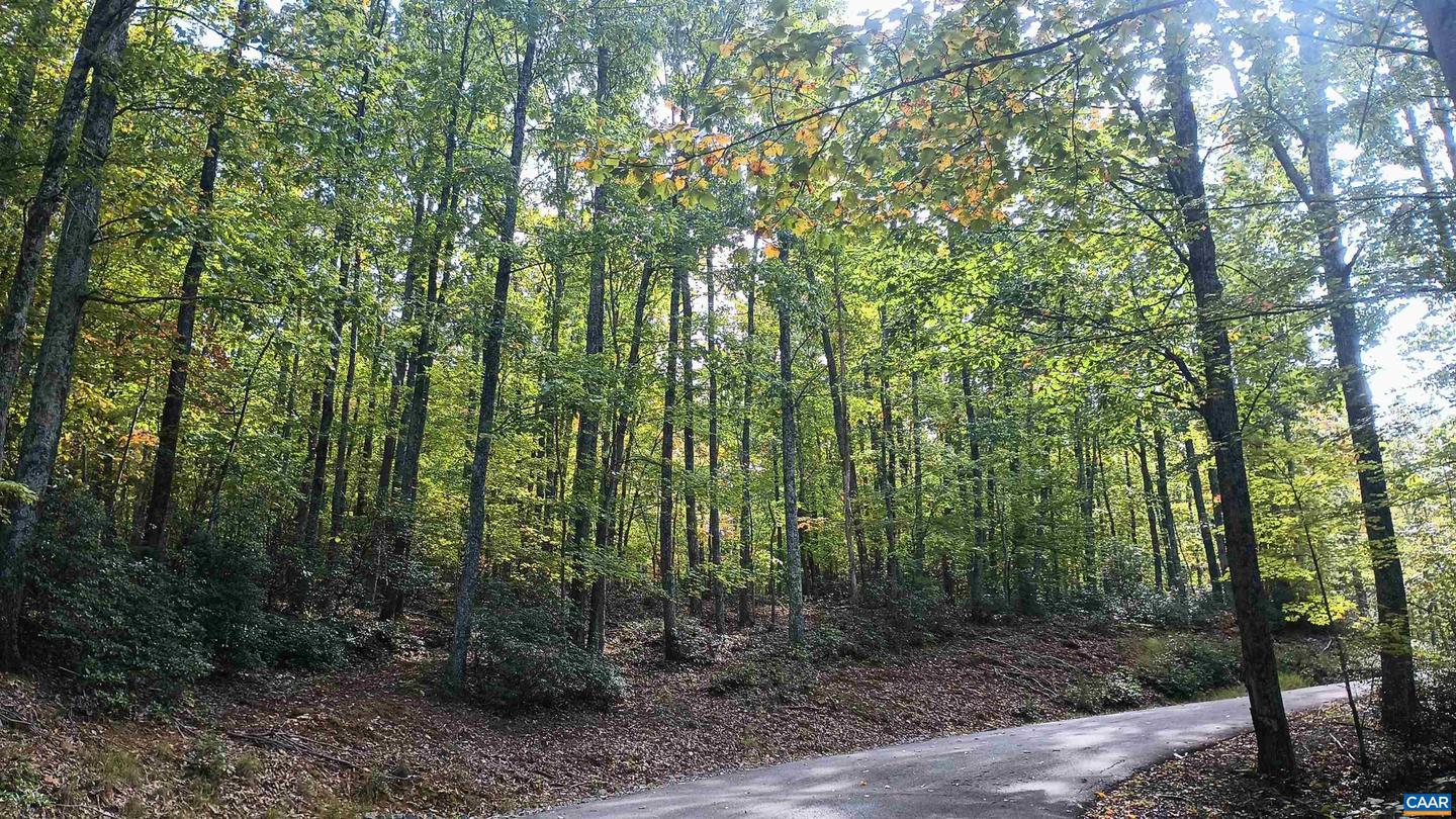 0 OAKCREST LN #3, NELLYSFORD, Virginia 22958, ,Land,For sale,0 OAKCREST LN #3,671080 MLS # 671080 0 OAKCREST LN #3, NELLYSFORD, Virginia 22958, ,Land,For sale,0 OAKCREST LN #3,671080 MLS # 671080