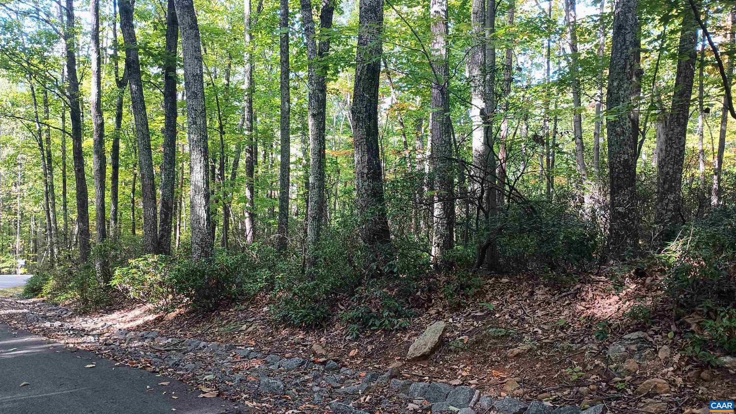 0 OAKCREST LN #3, NELLYSFORD, Virginia 22958, ,Land,For sale,0 OAKCREST LN #3,671080 MLS # 671080 0 OAKCREST LN #3, NELLYSFORD, Virginia 22958, ,Land,For sale,0 OAKCREST LN #3,671080 MLS # 671080