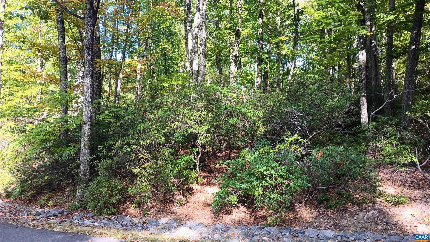 0 OAKCREST LN #3, NELLYSFORD, Virginia 22958, ,Land,For sale,0 OAKCREST LN #3,671080 MLS # 671080 0 OAKCREST LN #3, NELLYSFORD, Virginia 22958, ,Land,For sale,0 OAKCREST LN #3,671080 MLS # 671080