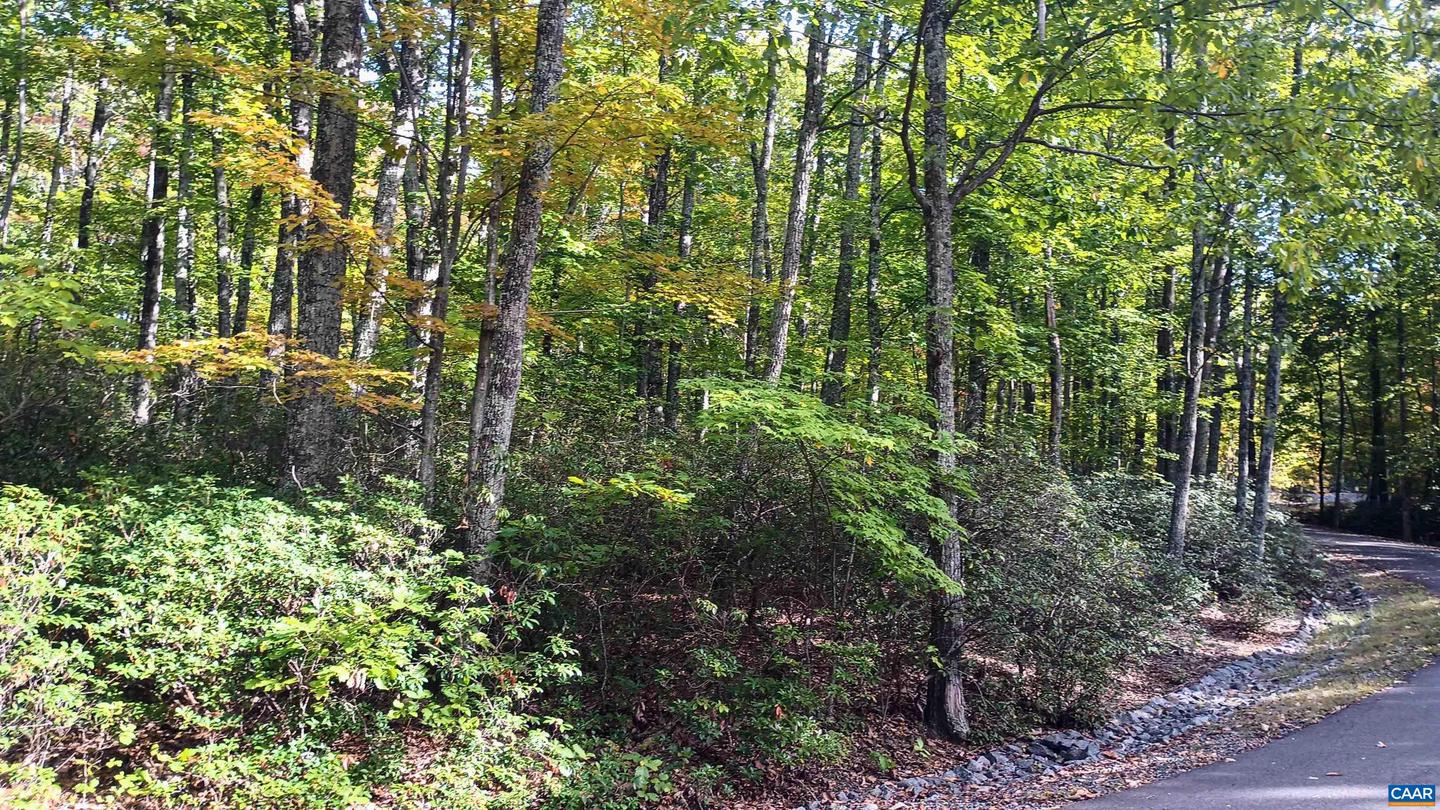 0 OAKCREST LN #3, NELLYSFORD, Virginia 22958, ,Land,For sale,0 OAKCREST LN #3,671080 MLS # 671080 0 OAKCREST LN #3, NELLYSFORD, Virginia 22958, ,Land,For sale,0 OAKCREST LN #3,671080 MLS # 671080