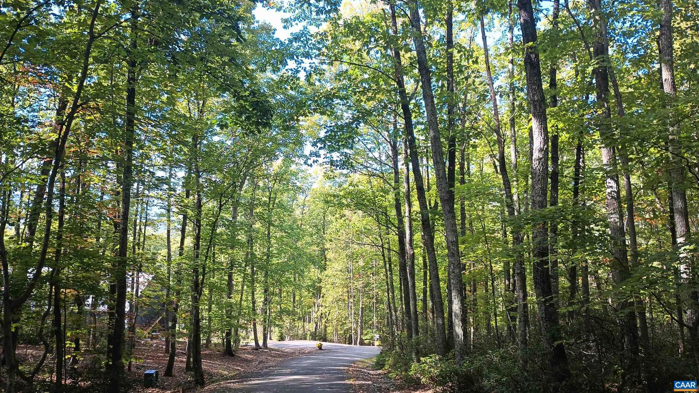 0 OAKCREST LN #3, NELLYSFORD, Virginia 22958, ,Land,For sale,0 OAKCREST LN #3,671080 MLS # 671080 0 OAKCREST LN #3, NELLYSFORD, Virginia 22958, ,Land,For sale,0 OAKCREST LN #3,671080 MLS # 671080