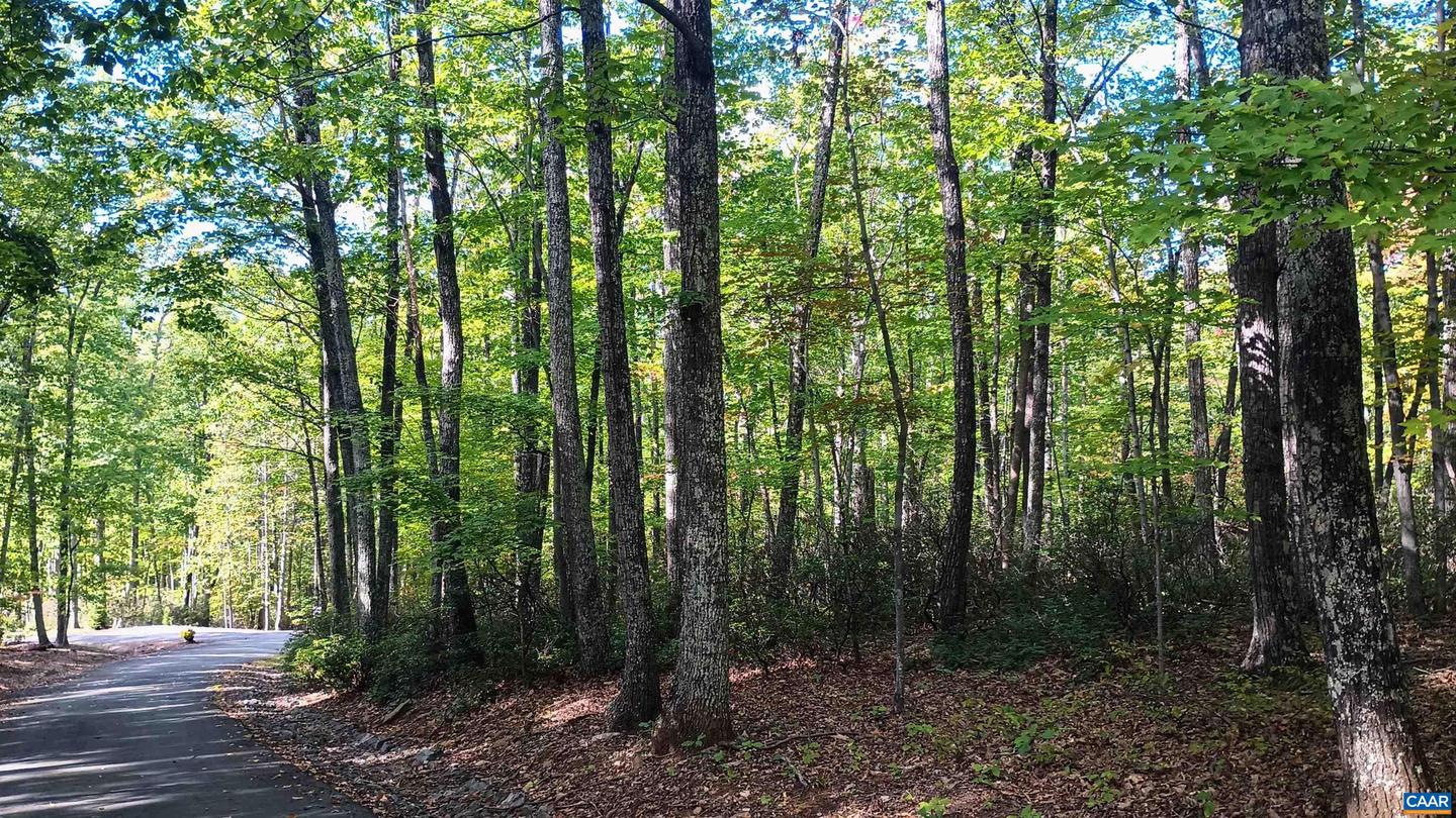 0 OAKCREST LN #3, NELLYSFORD, Virginia 22958, ,Land,For sale,0 OAKCREST LN #3,671080 MLS # 671080 0 OAKCREST LN #3, NELLYSFORD, Virginia 22958, ,Land,For sale,0 OAKCREST LN #3,671080 MLS # 671080