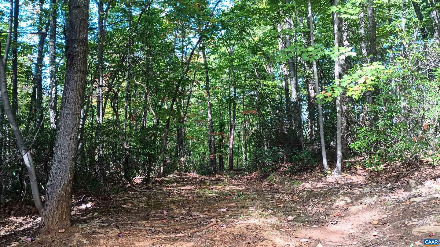 0 OAKCREST LN #3, NELLYSFORD, Virginia 22958, ,Land,For sale,0 OAKCREST LN #3,671080 MLS # 671080 0 OAKCREST LN #3, NELLYSFORD, Virginia 22958, ,Land,For sale,0 OAKCREST LN #3,671080 MLS # 671080