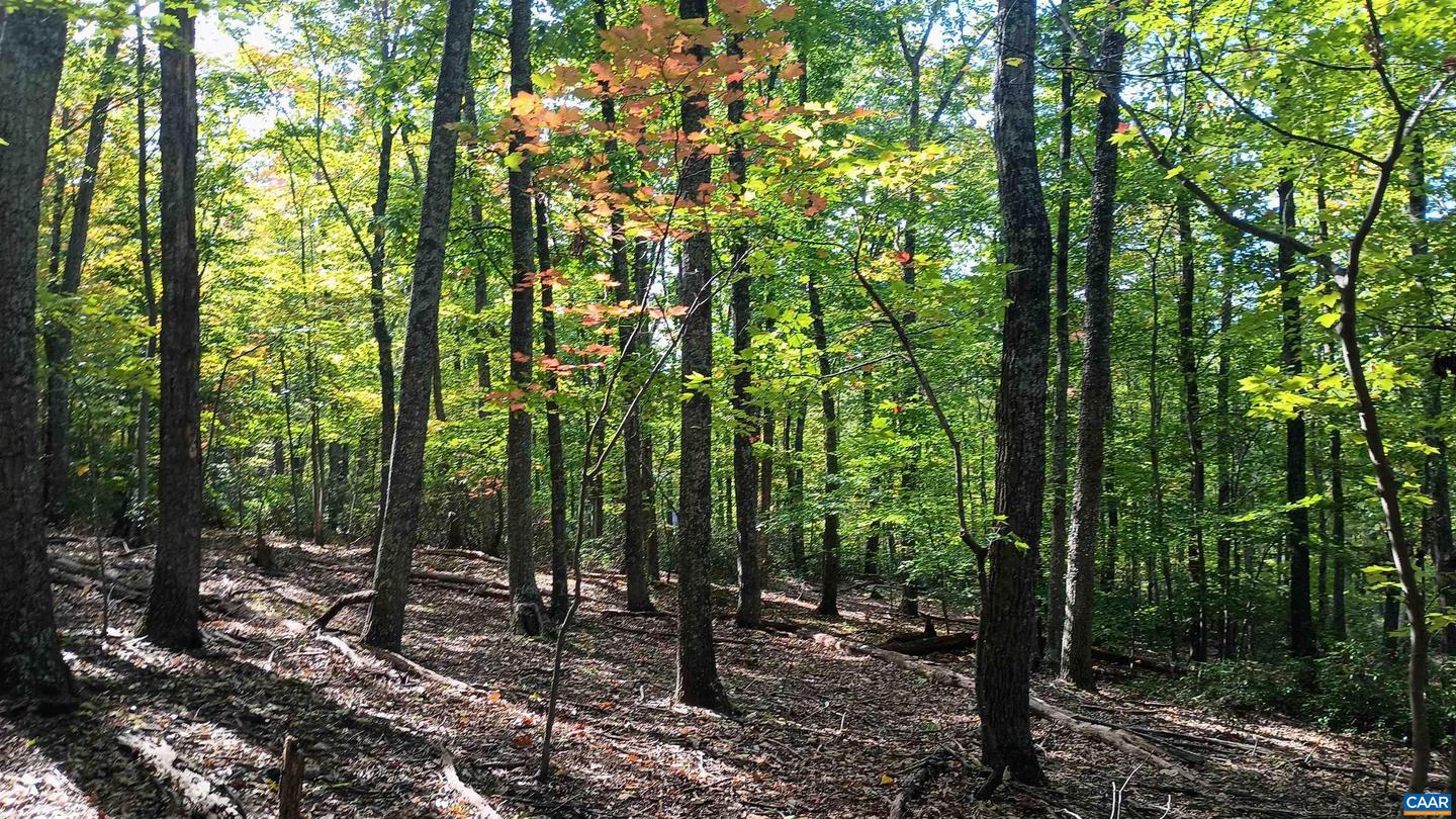 0 OAKCREST LN #3, NELLYSFORD, Virginia 22958, ,Land,For sale,0 OAKCREST LN #3,671080 MLS # 671080 0 OAKCREST LN #3, NELLYSFORD, Virginia 22958, ,Land,For sale,0 OAKCREST LN #3,671080 MLS # 671080