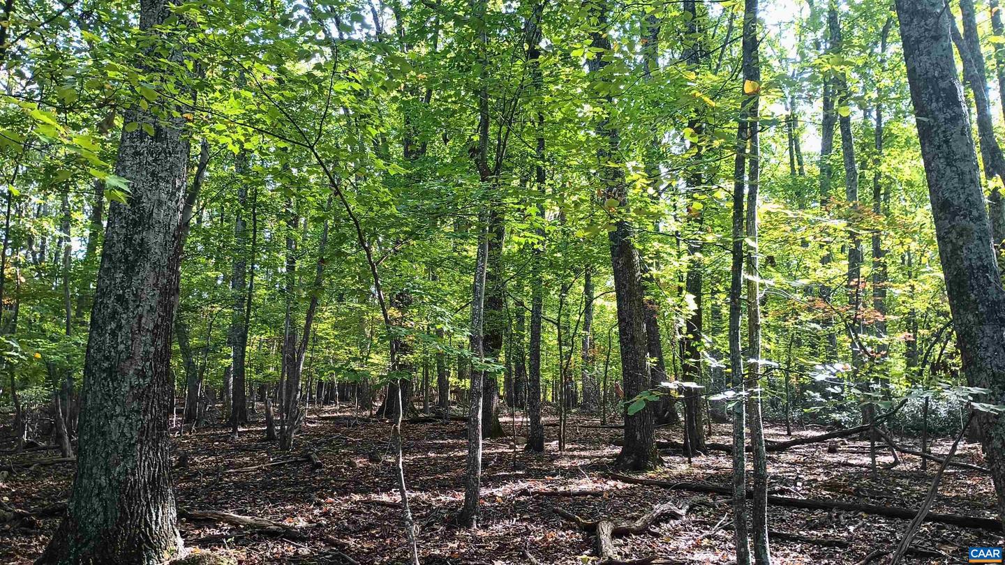 0 OAKCREST LN #3, NELLYSFORD, Virginia 22958, ,Land,For sale,0 OAKCREST LN #3,671080 MLS # 671080 0 OAKCREST LN #3, NELLYSFORD, Virginia 22958, ,Land,For sale,0 OAKCREST LN #3,671080 MLS # 671080