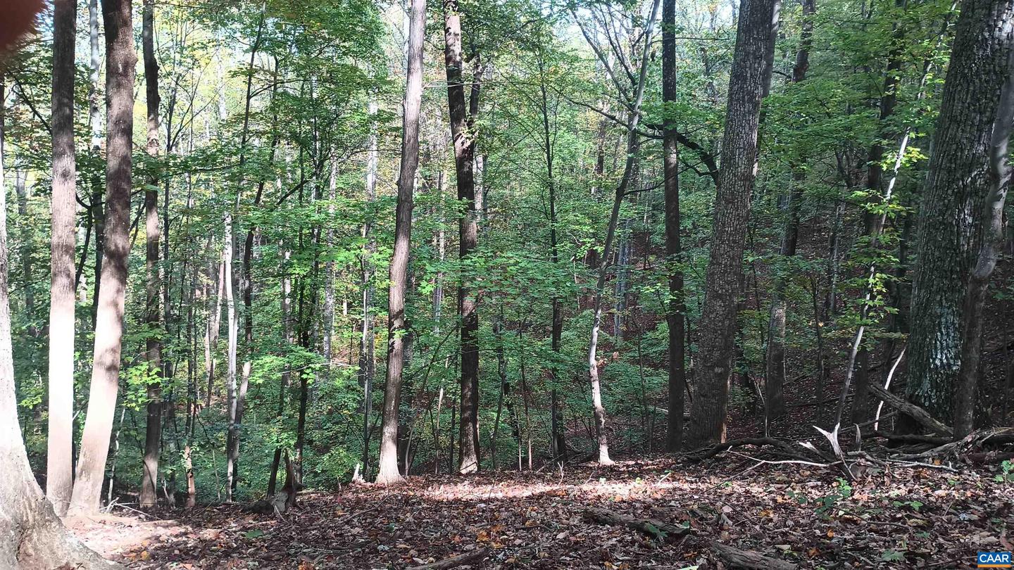 0 OAKCREST LN #3, NELLYSFORD, Virginia 22958, ,Land,For sale,0 OAKCREST LN #3,671080 MLS # 671080 0 OAKCREST LN #3, NELLYSFORD, Virginia 22958, ,Land,For sale,0 OAKCREST LN #3,671080 MLS # 671080