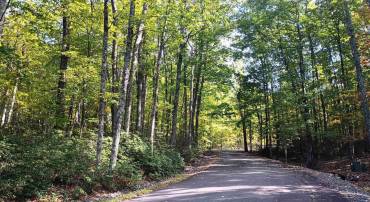 0 OAKCREST LN #3, NELLYSFORD, Virginia 22958, ,Land,For sale,0 OAKCREST LN #3,671080 MLS # 671080
