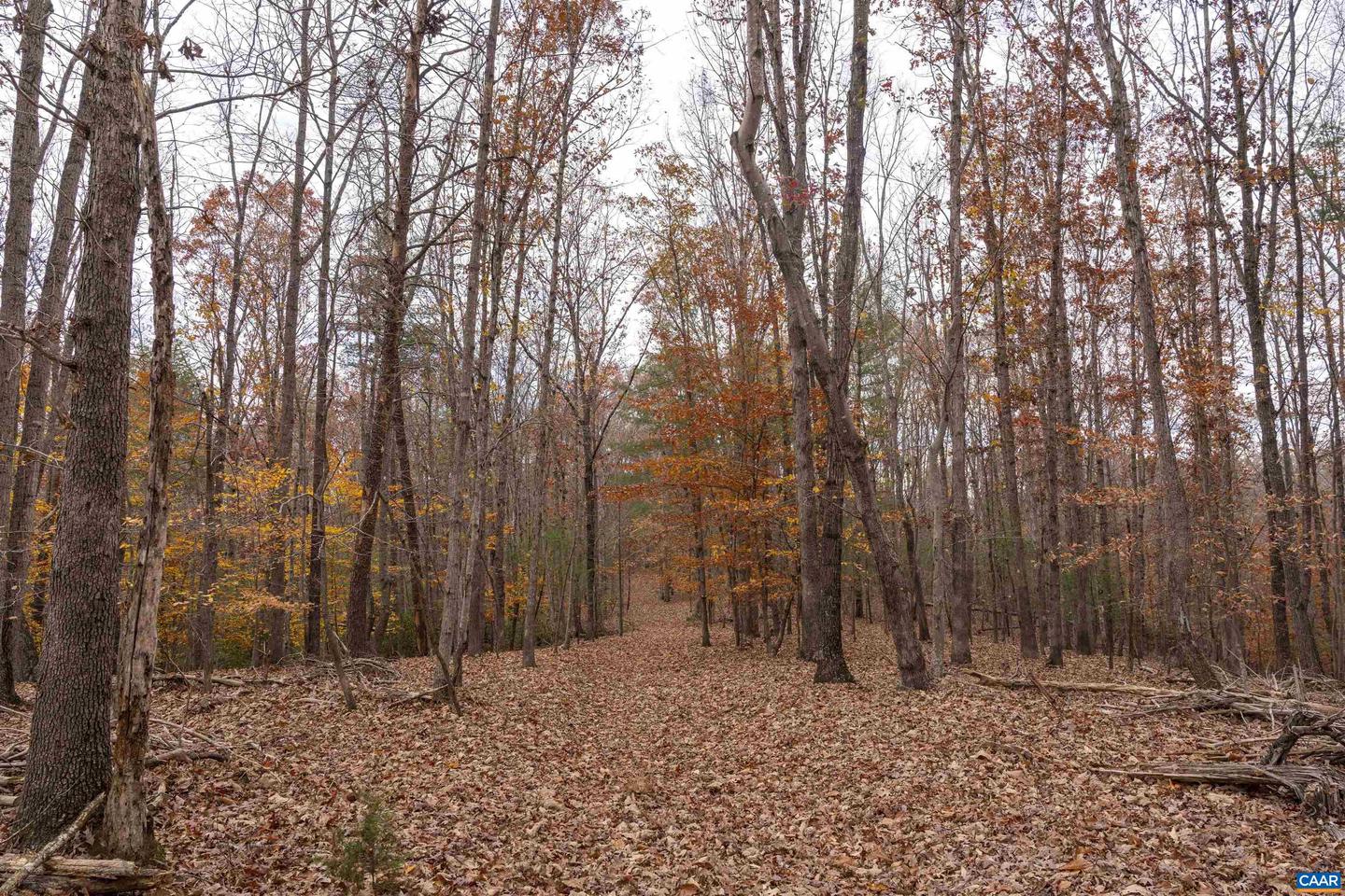 LOT 1A JIM LANE RD, SCOTTSVILLE, Virginia 24590, ,Land,For sale,LOT 1A JIM LANE RD,671081 MLS # 671081 LOT 1A JIM LANE RD, SCOTTSVILLE, Virginia 24590, ,Land,For sale,LOT 1A JIM LANE RD,671081 MLS # 671081