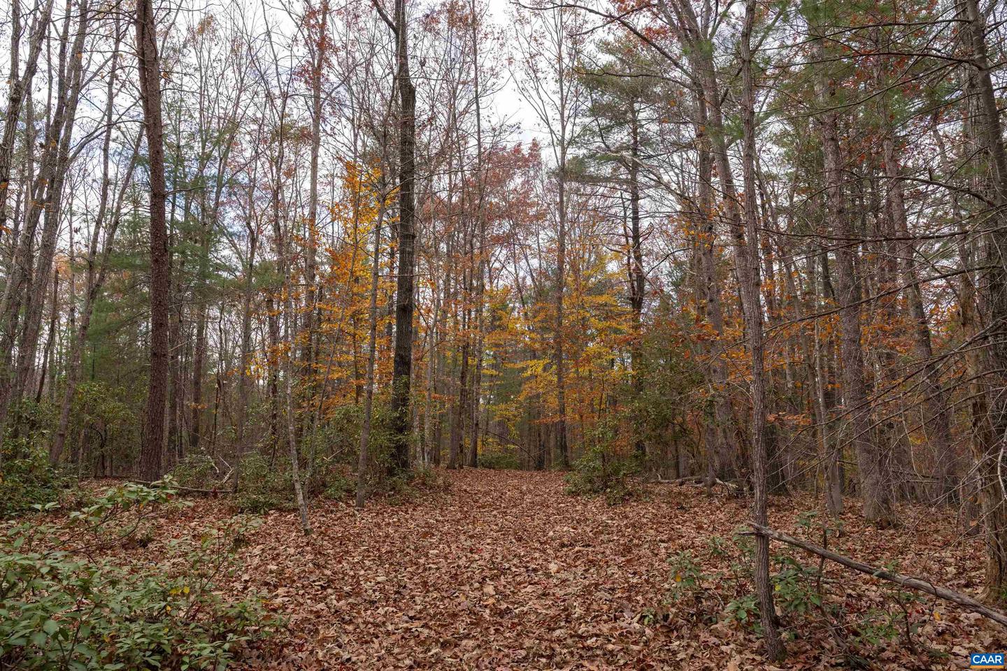 LOT 1A JIM LANE RD, SCOTTSVILLE, Virginia 24590, ,Land,For sale,LOT 1A JIM LANE RD,671081 MLS # 671081 LOT 1A JIM LANE RD, SCOTTSVILLE, Virginia 24590, ,Land,For sale,LOT 1A JIM LANE RD,671081 MLS # 671081