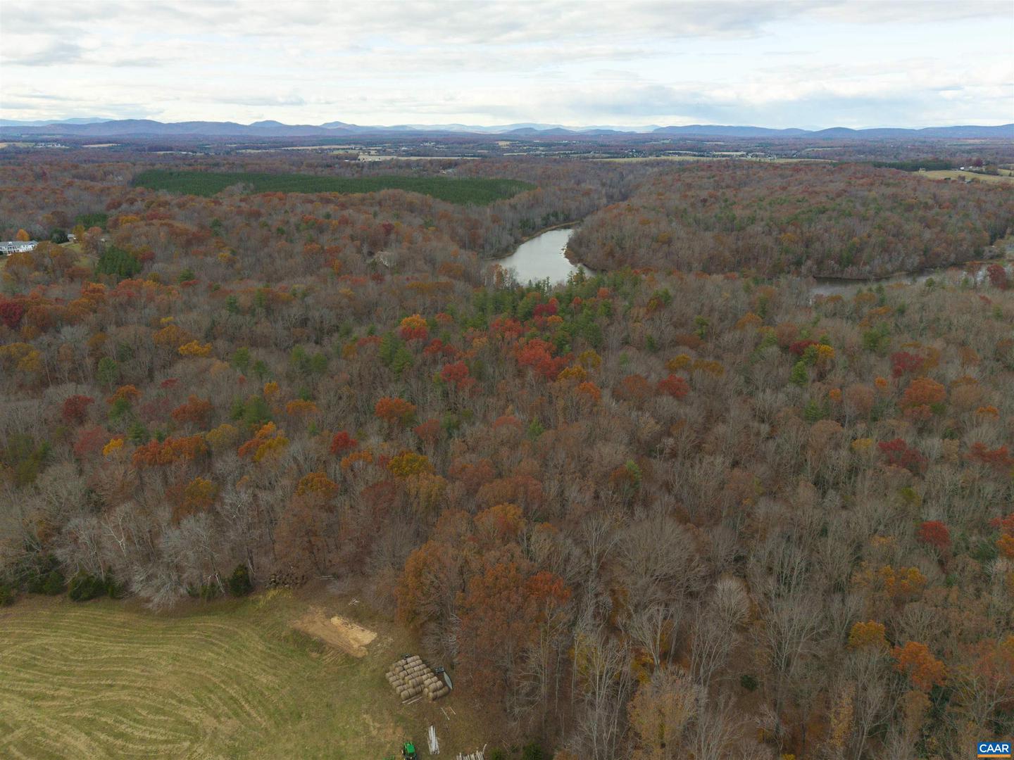 LOT 1A JIM LANE RD, SCOTTSVILLE, Virginia 24590, ,Land,For sale,LOT 1A JIM LANE RD,671081 MLS # 671081 LOT 1A JIM LANE RD, SCOTTSVILLE, Virginia 24590, ,Land,For sale,LOT 1A JIM LANE RD,671081 MLS # 671081