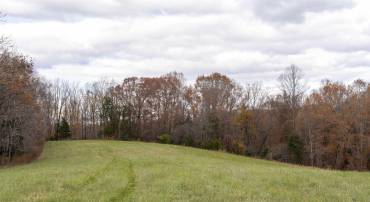 LOT 1 B JIM LANE RD, SCOTTSVILLE, Virginia 24590, ,Land,For sale,LOT 1 B JIM LANE RD,671082 MLS # 671082