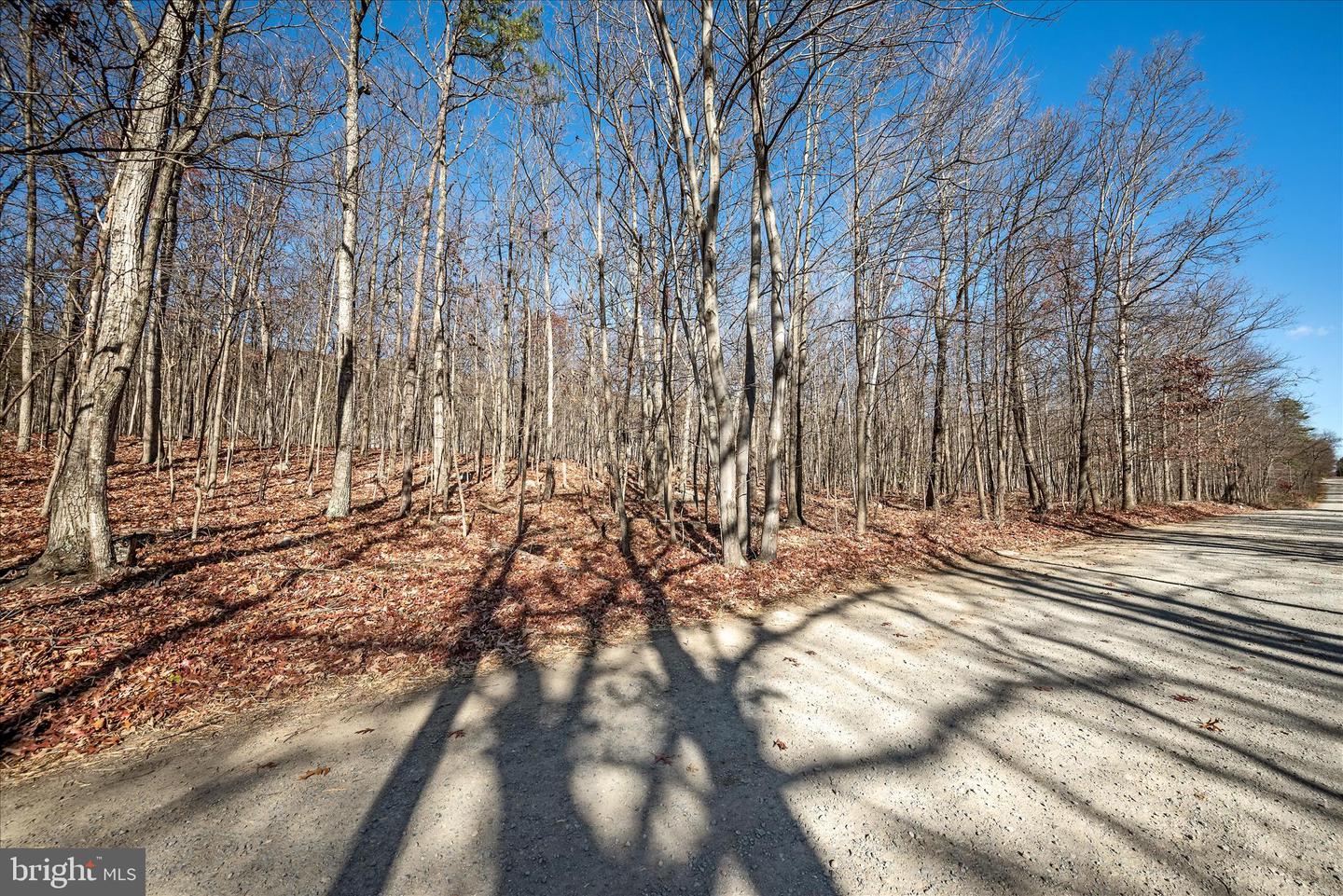 LOT 4 A CARDINAL DR, WINCHESTER, Virginia 22602, ,Land,For sale,LOT 4 A CARDINAL DR,VAFV2038054 MLS # VAFV2038054 LOT 4 A CARDINAL DR, WINCHESTER, Virginia 22602, ,Land,For sale,LOT 4 A CARDINAL DR,VAFV2038054 MLS # VAFV2038054