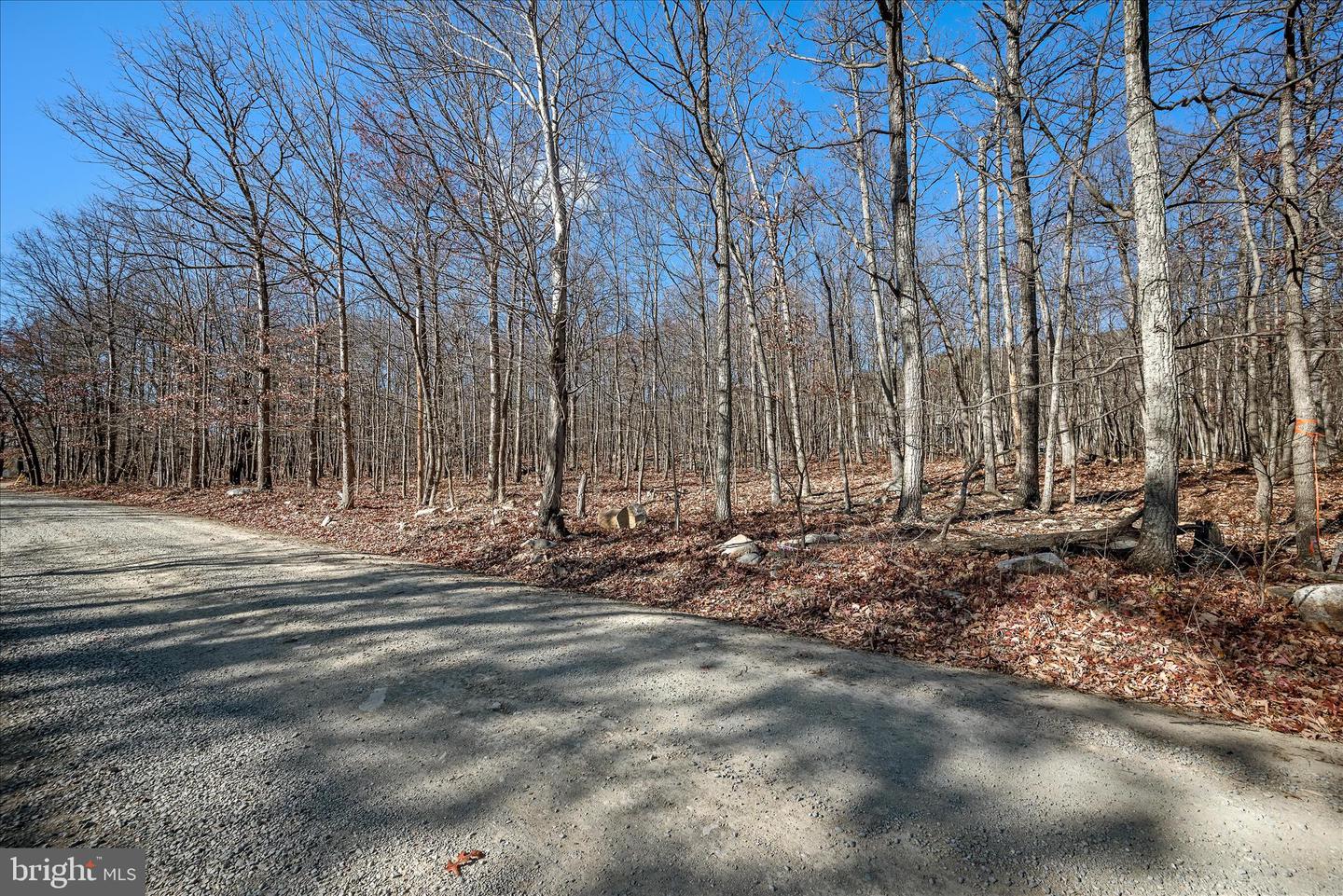 LOT 4 A CARDINAL DR, WINCHESTER, Virginia 22602, ,Land,For sale,LOT 4 A CARDINAL DR,VAFV2038054 MLS # VAFV2038054 LOT 4 A CARDINAL DR, WINCHESTER, Virginia 22602, ,Land,For sale,LOT 4 A CARDINAL DR,VAFV2038054 MLS # VAFV2038054
