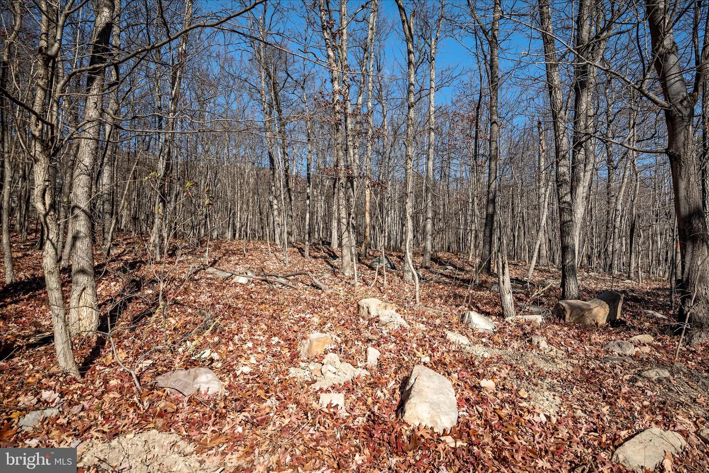 LOT 4 A CARDINAL DR, WINCHESTER, Virginia 22602, ,Land,For sale,LOT 4 A CARDINAL DR,VAFV2038054 MLS # VAFV2038054 LOT 4 A CARDINAL DR, WINCHESTER, Virginia 22602, ,Land,For sale,LOT 4 A CARDINAL DR,VAFV2038054 MLS # VAFV2038054